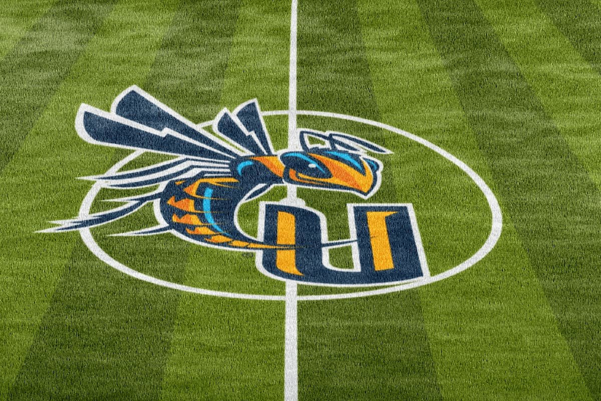 A sports field with a large team logo at the center featuring a blue and orange dragon.