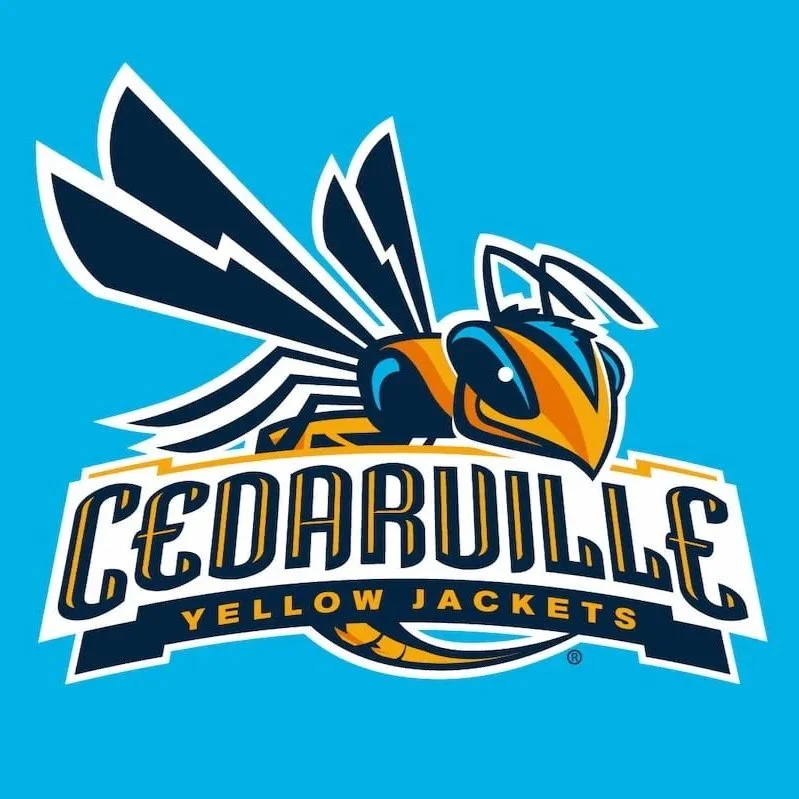 Team logo featuring a hornet with yellow and black colors, and the text 'Cedar Valley Yellow Jackets' on a blue background.