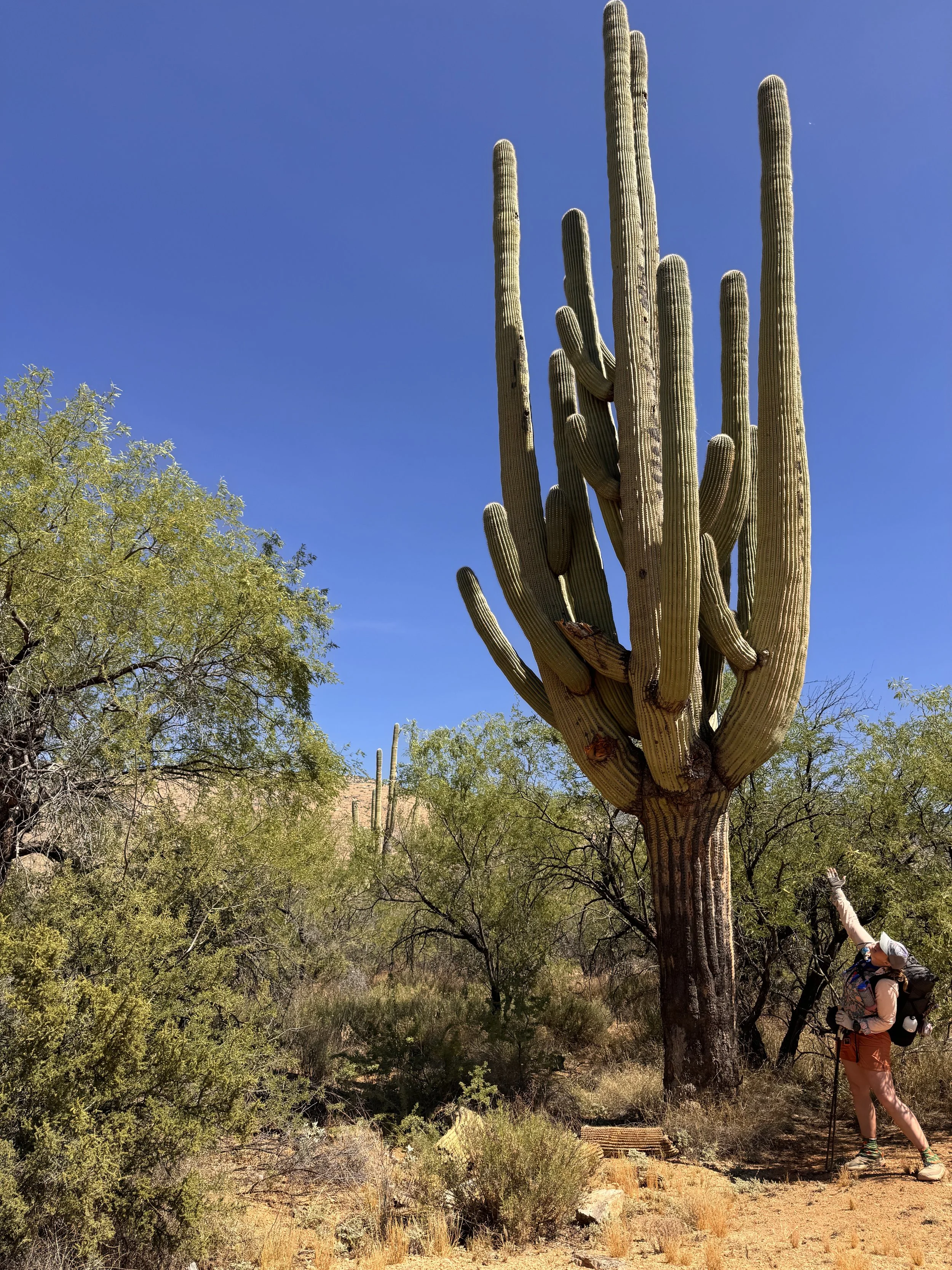 Miles 119-184 on the Arizona Trail