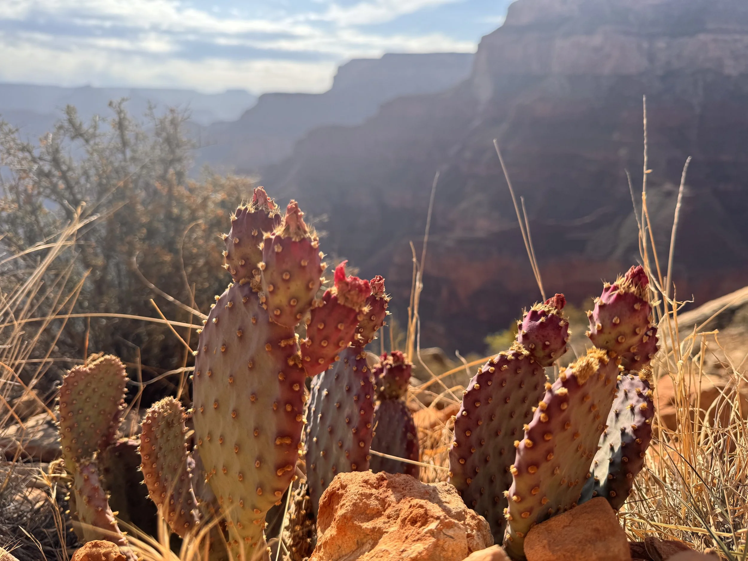 The Grand Canyon side trip on the Arizona Trail