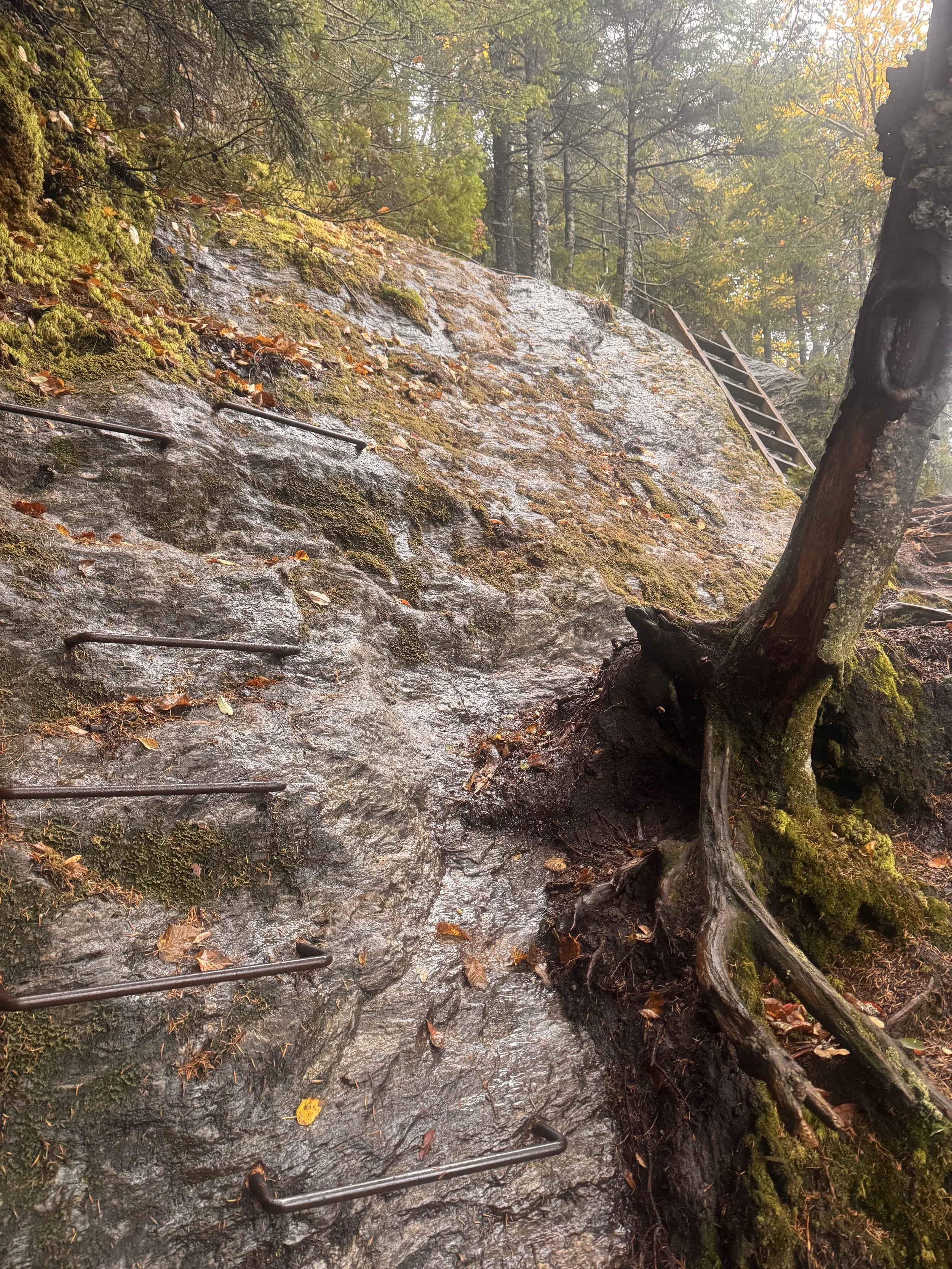 VT Long Trail Days 10-12