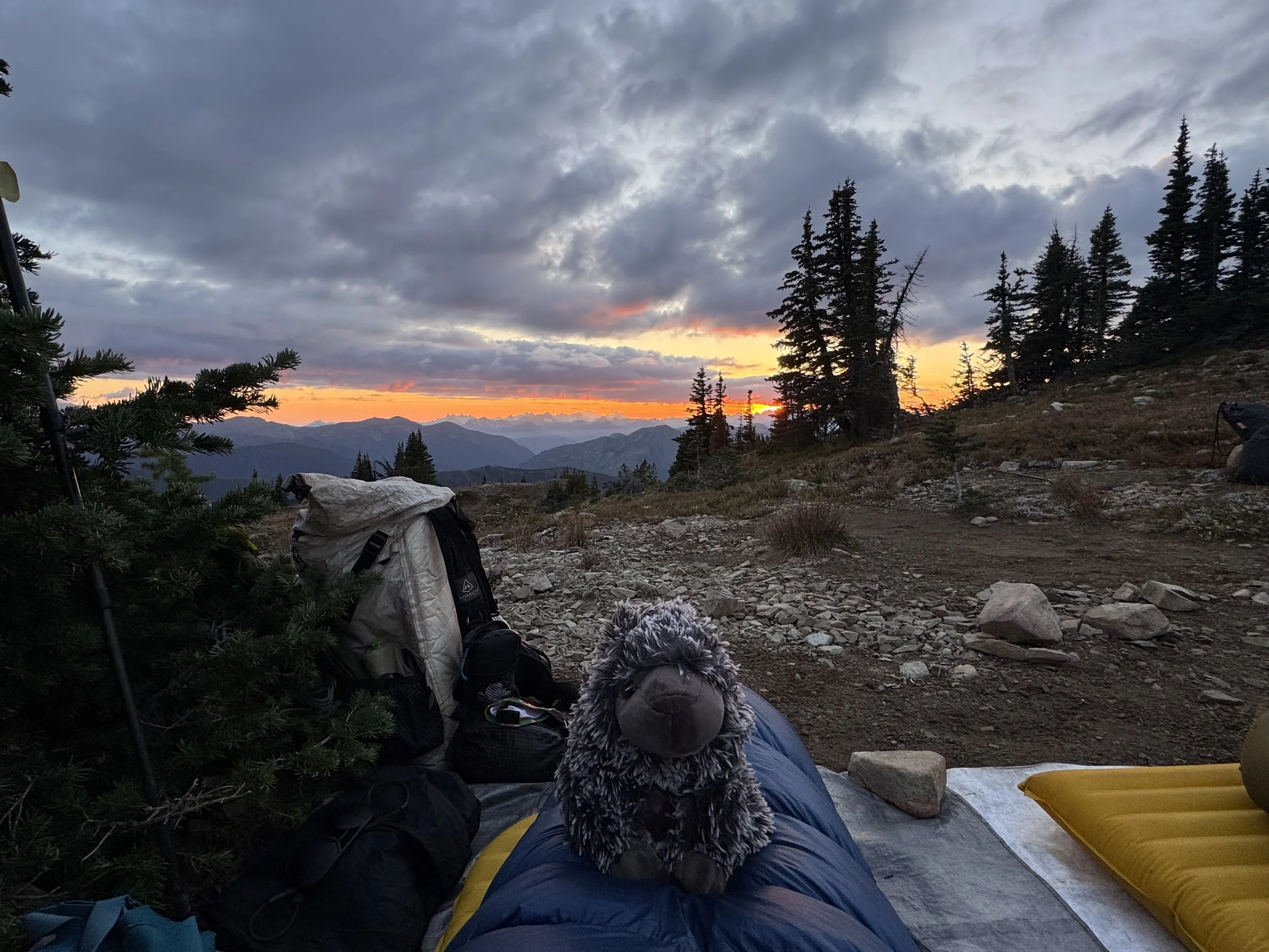 Camping scene with a stuffed animal porcupine, backpack, and gear on the ground for cowboy camping, evergreen trees, rocky terrain, and a sunset over mountain ranges with cloudy sky.