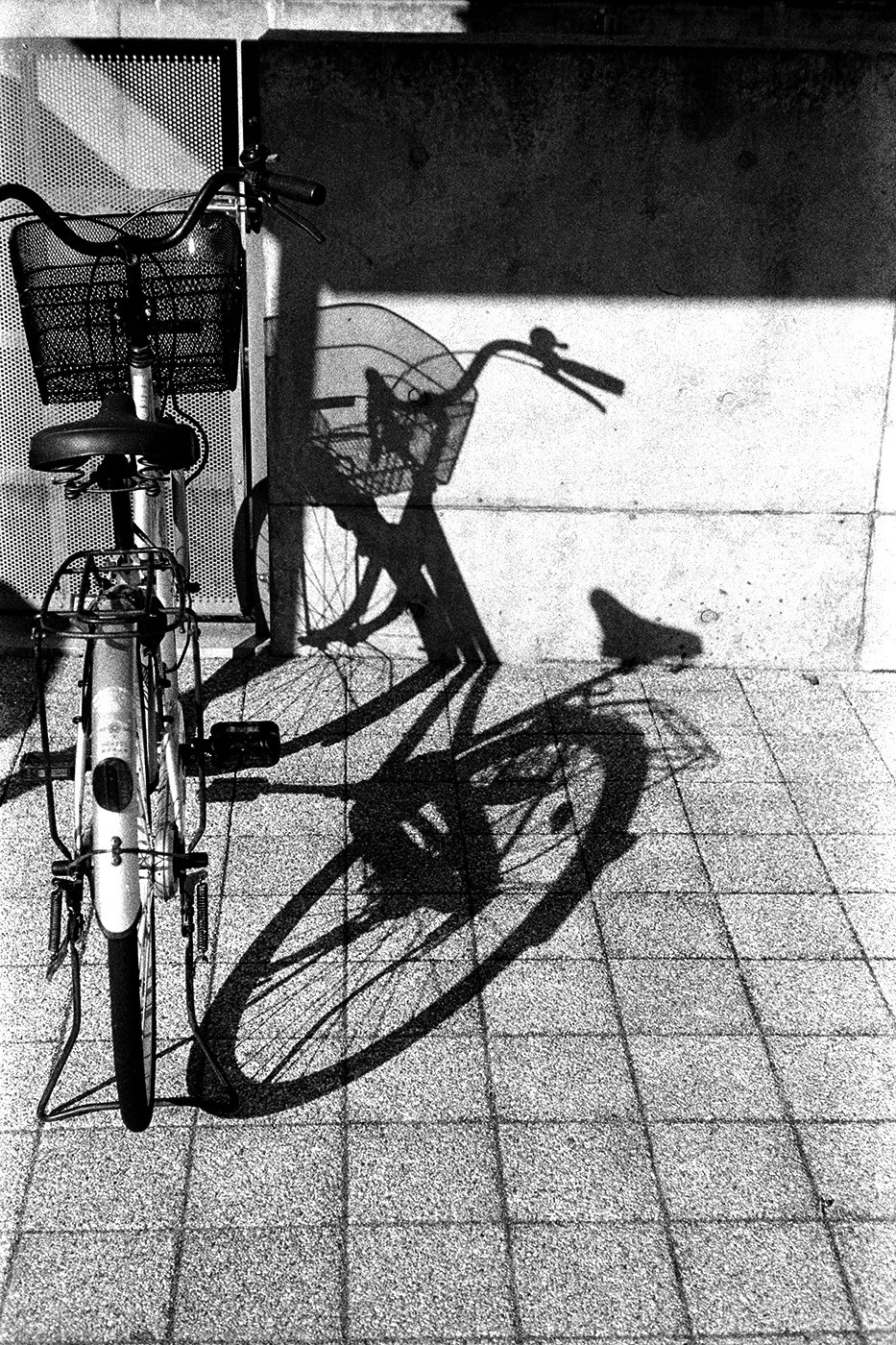 DSCF5254-Edit copy.jpg