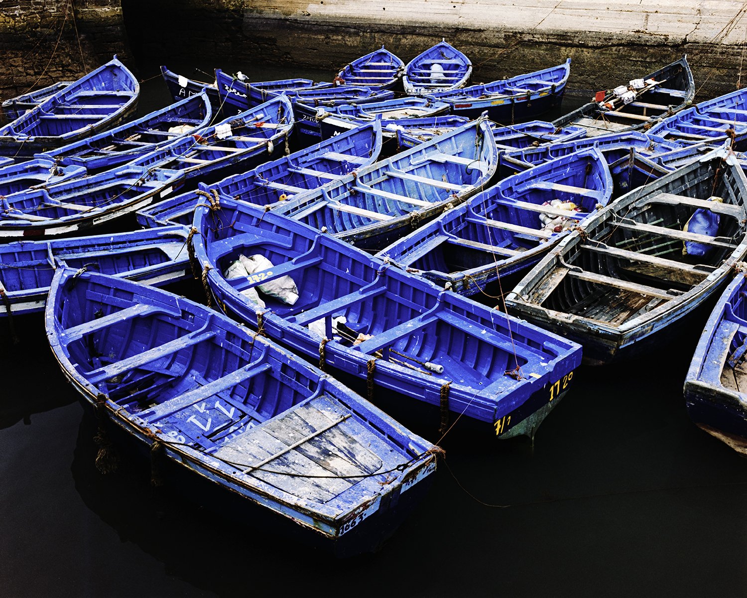 DSCF3411-Edit copy.jpg