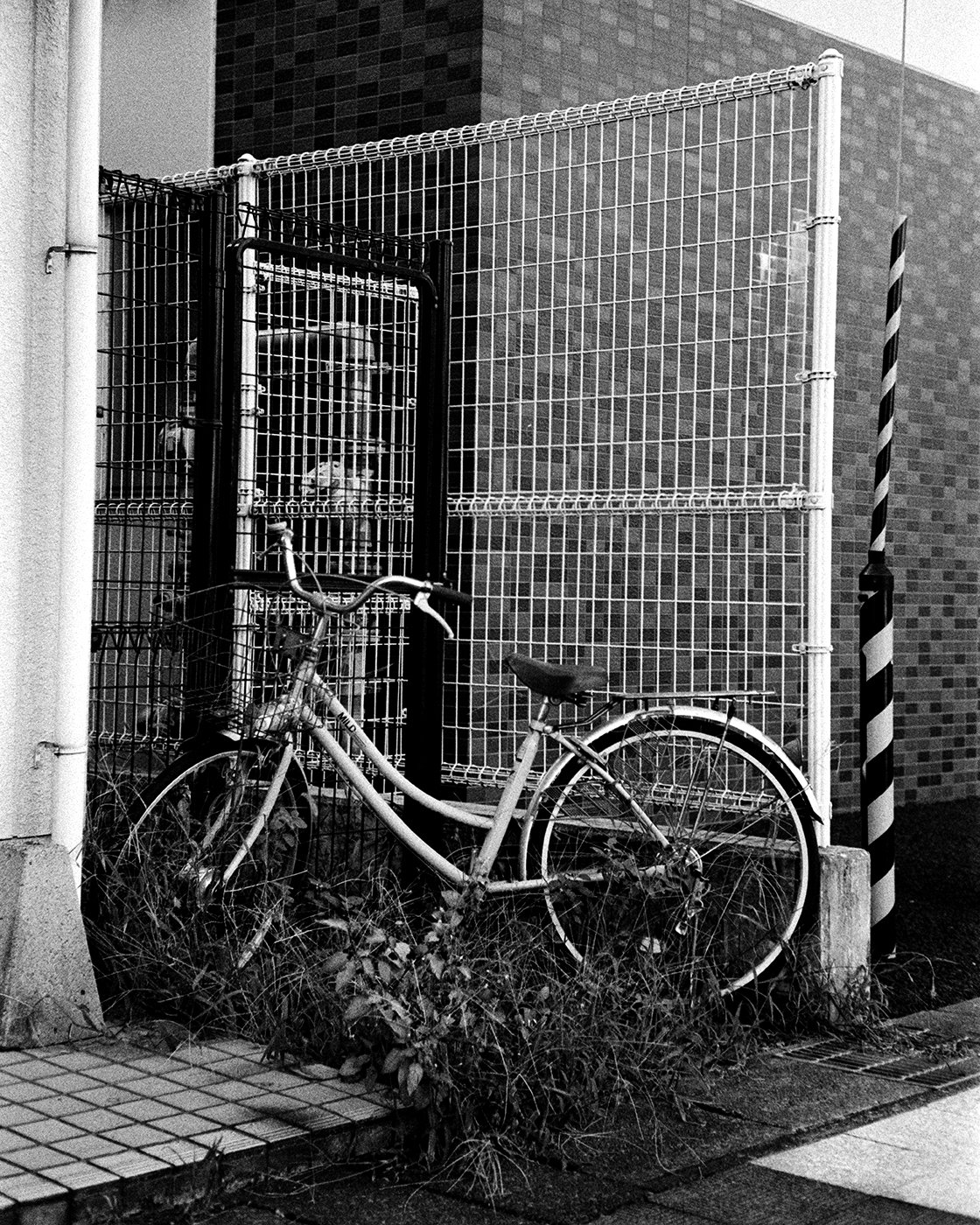 DSCF5229-Edit copy.jpg