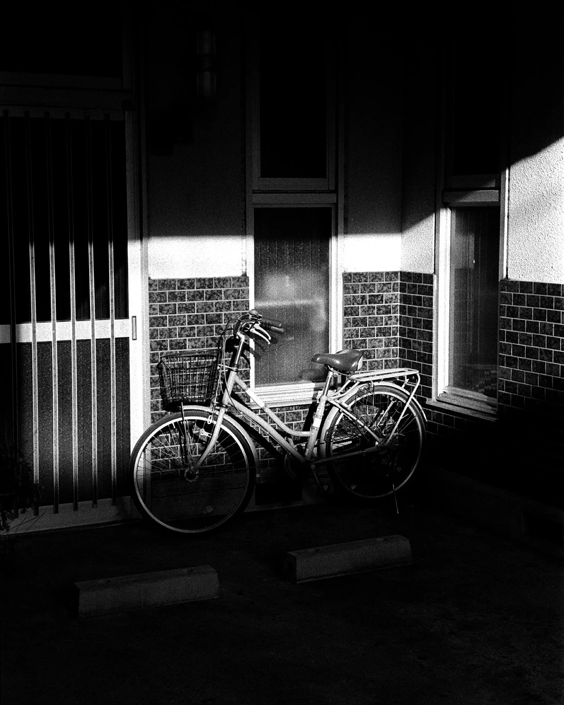 DSCF5230-Edit copy.jpg