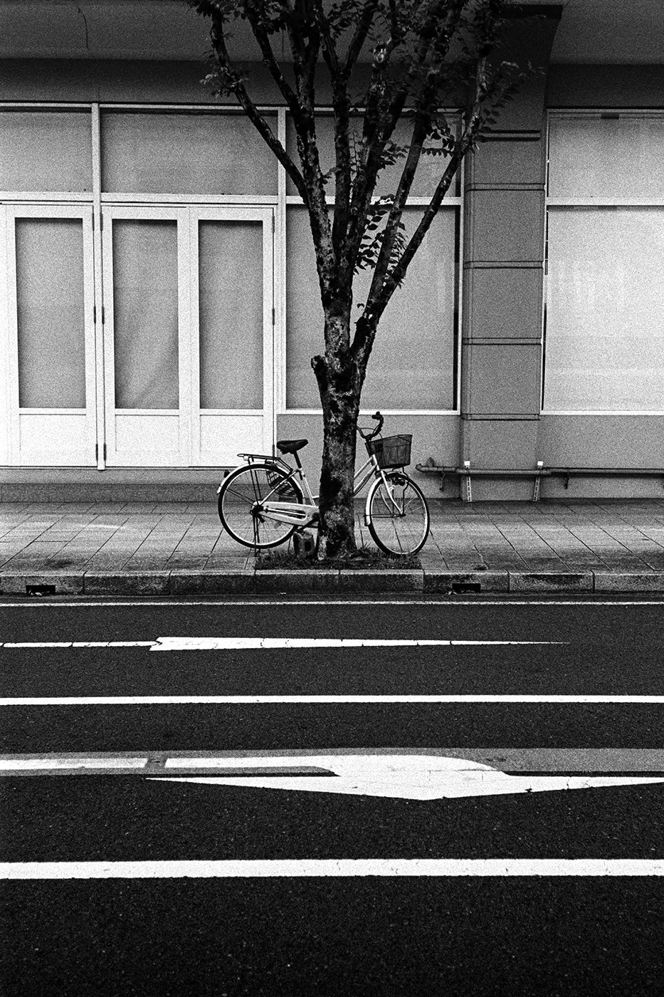 DSCF5258-Edit copy.jpg