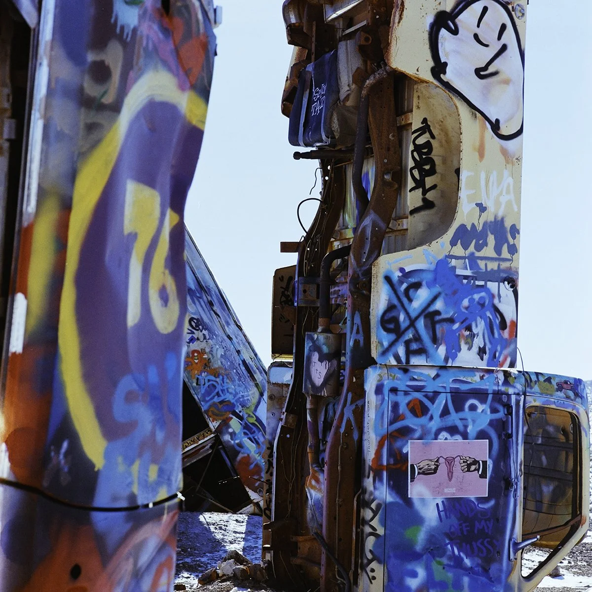 DSCF2942-Edit copy b.jpg