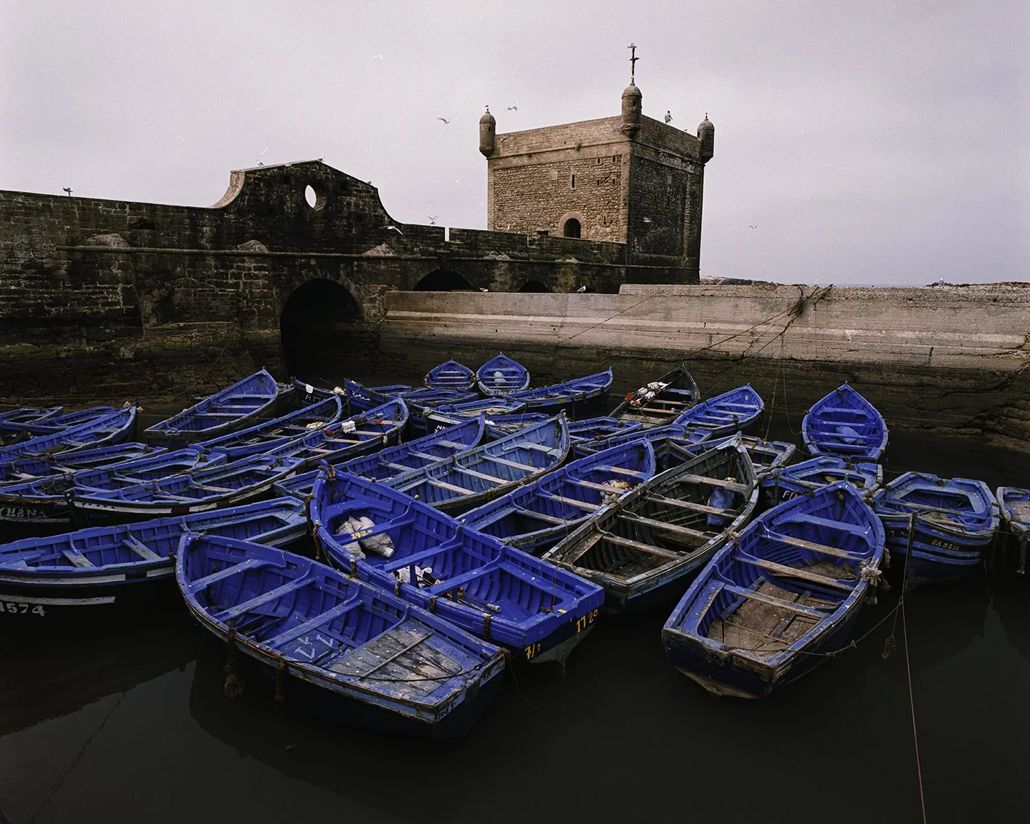 DSCF3412-Edit copy.jpg