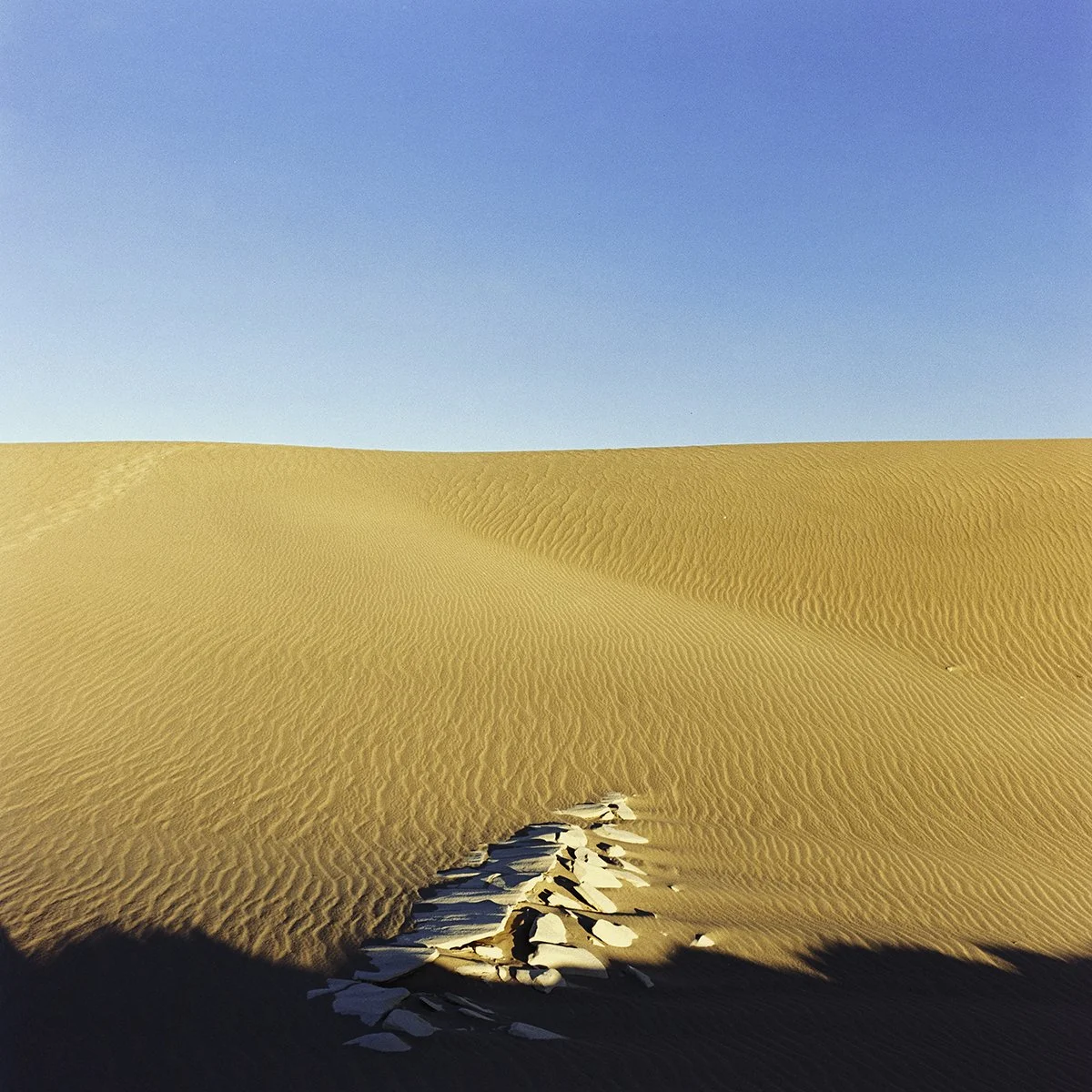 DSCF3404-Edit copy.jpg