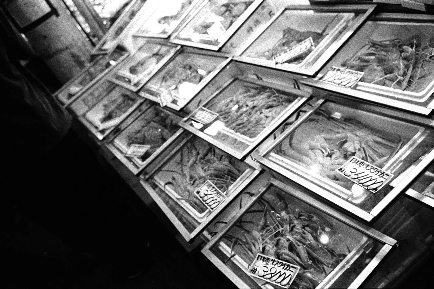 DSCF5278-Edit copy.jpg