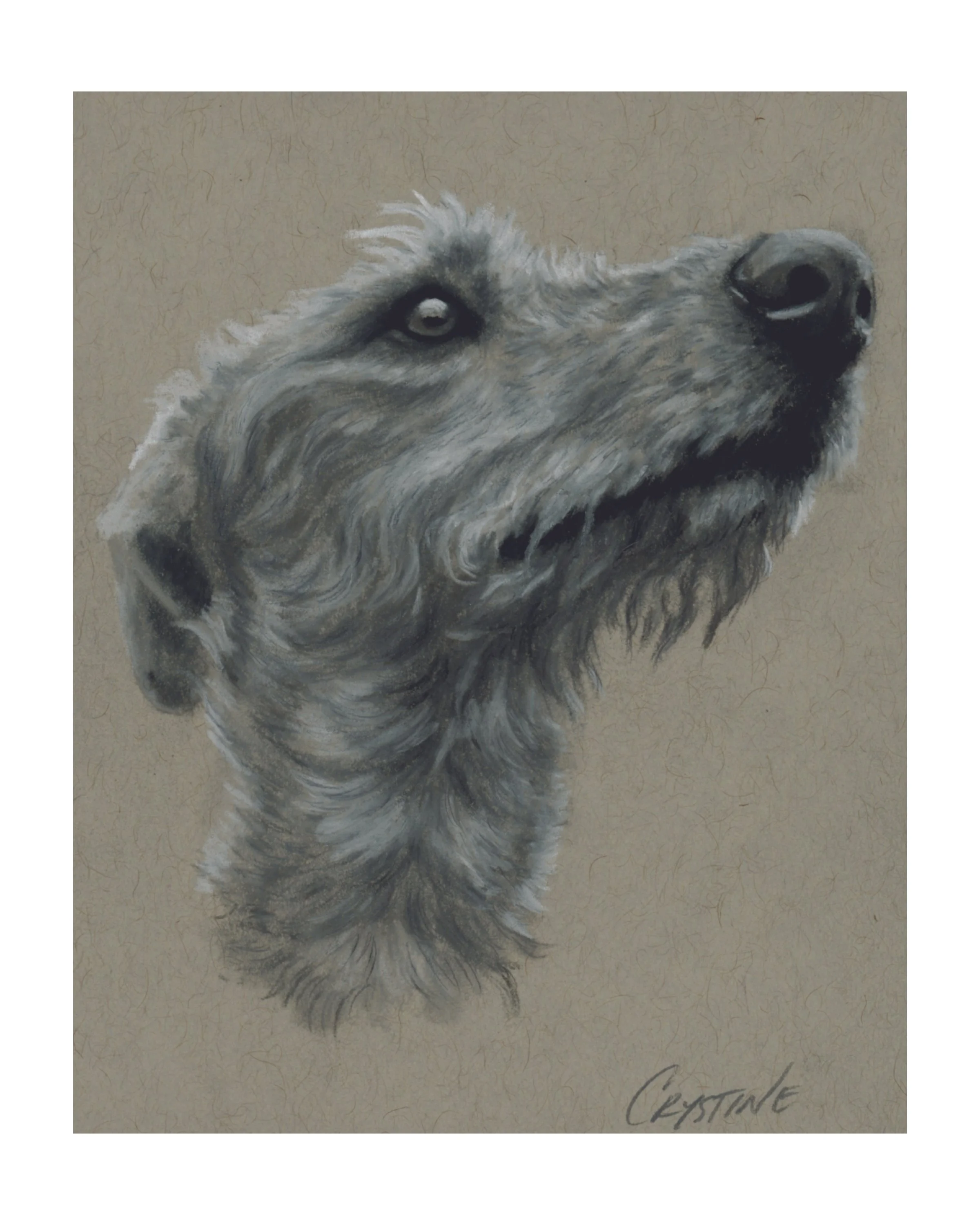 Custom Pet Portraits