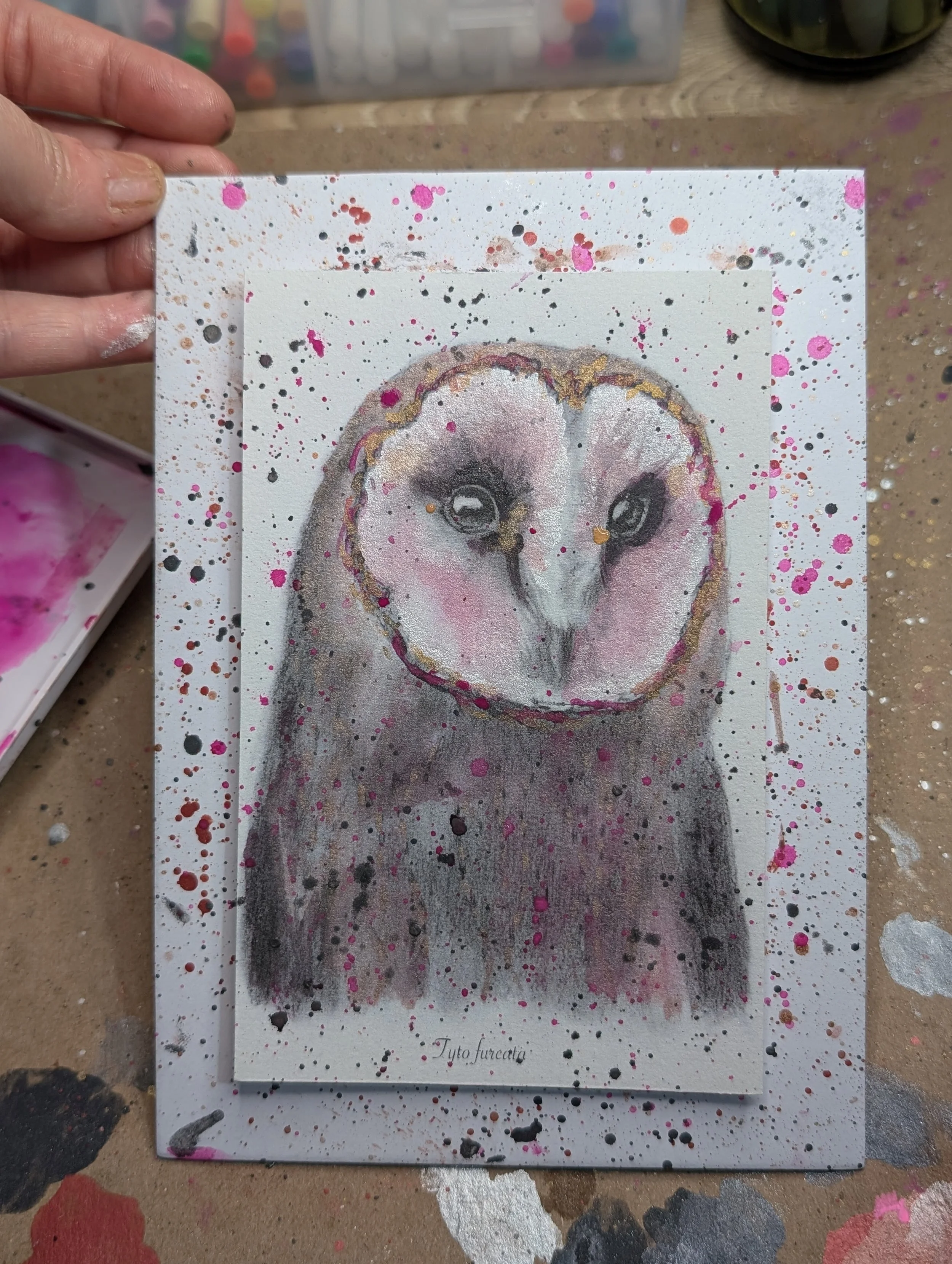 pink-splatter-owl.jpg