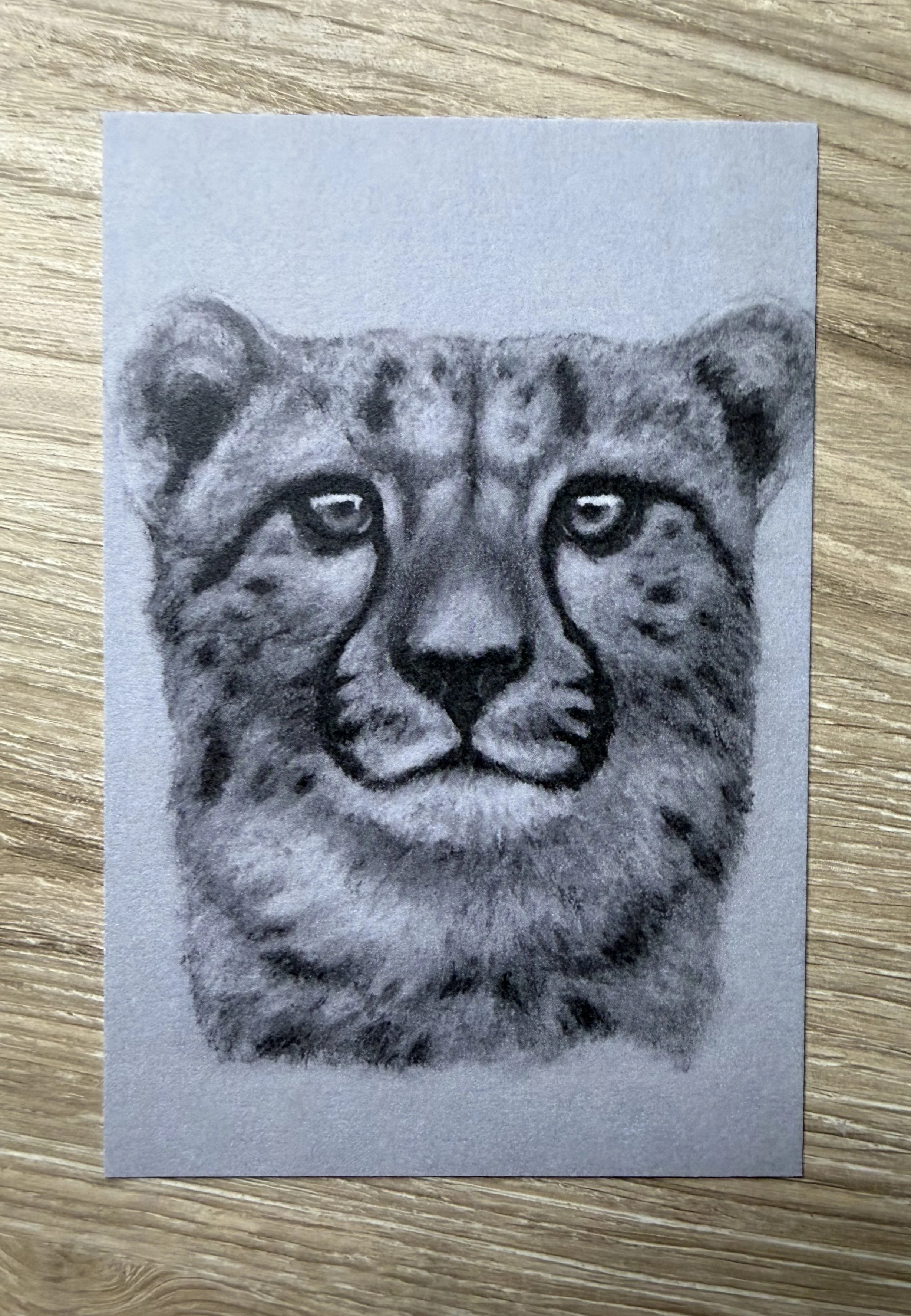 cheetah-print-photo.jpg
