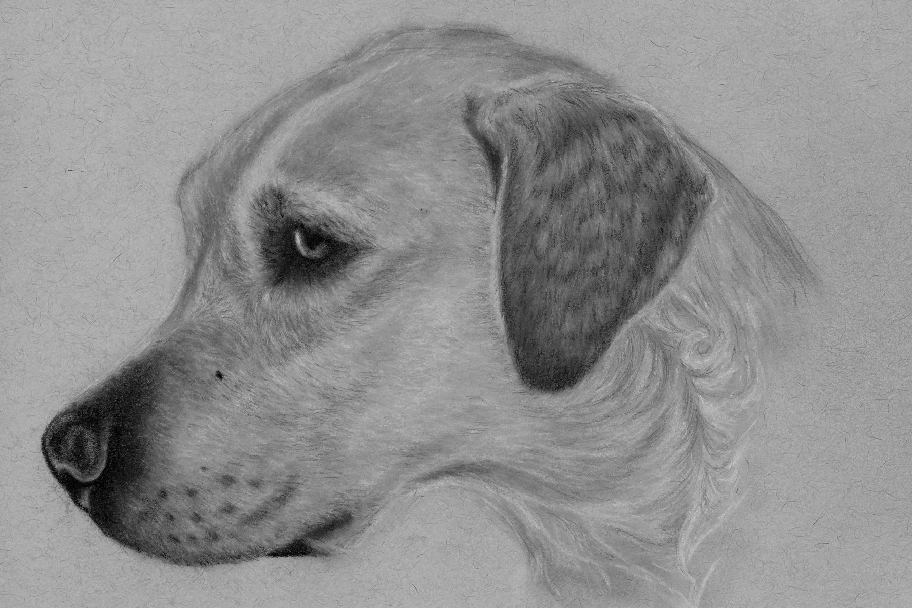 4x6-whitelab.jpg
