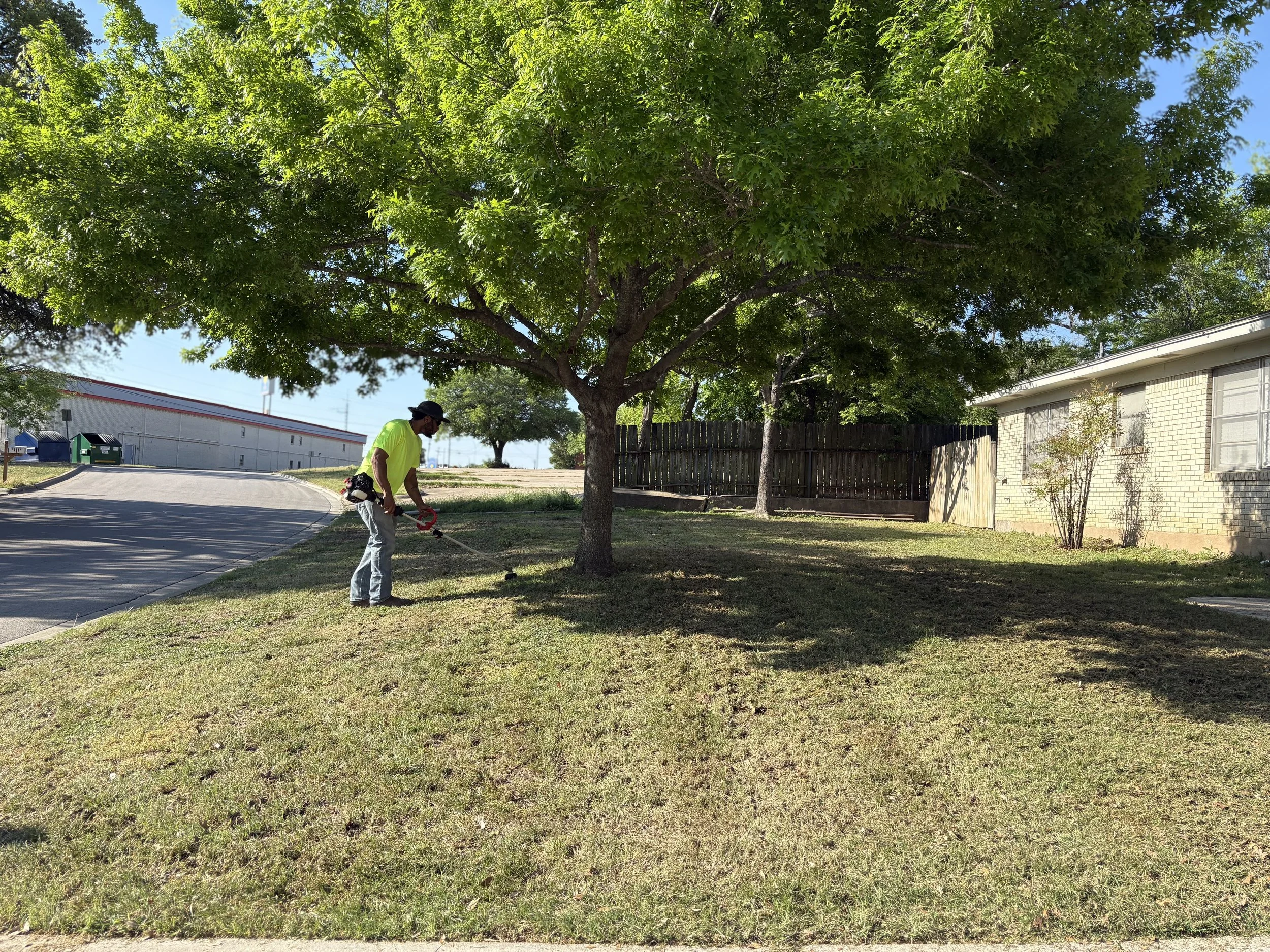 A man in a bright yellow shirt and hat working with a weed trimmer in a backyard with a large green tree, a wooden fence, and a house in the background.