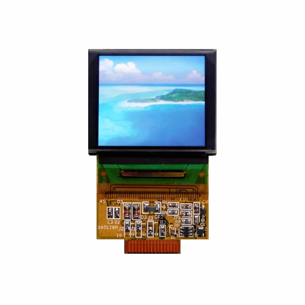 Color LCD screen displaying a beach scene with ocean, sky, and clouds, attached to a circuit board with electronic components.