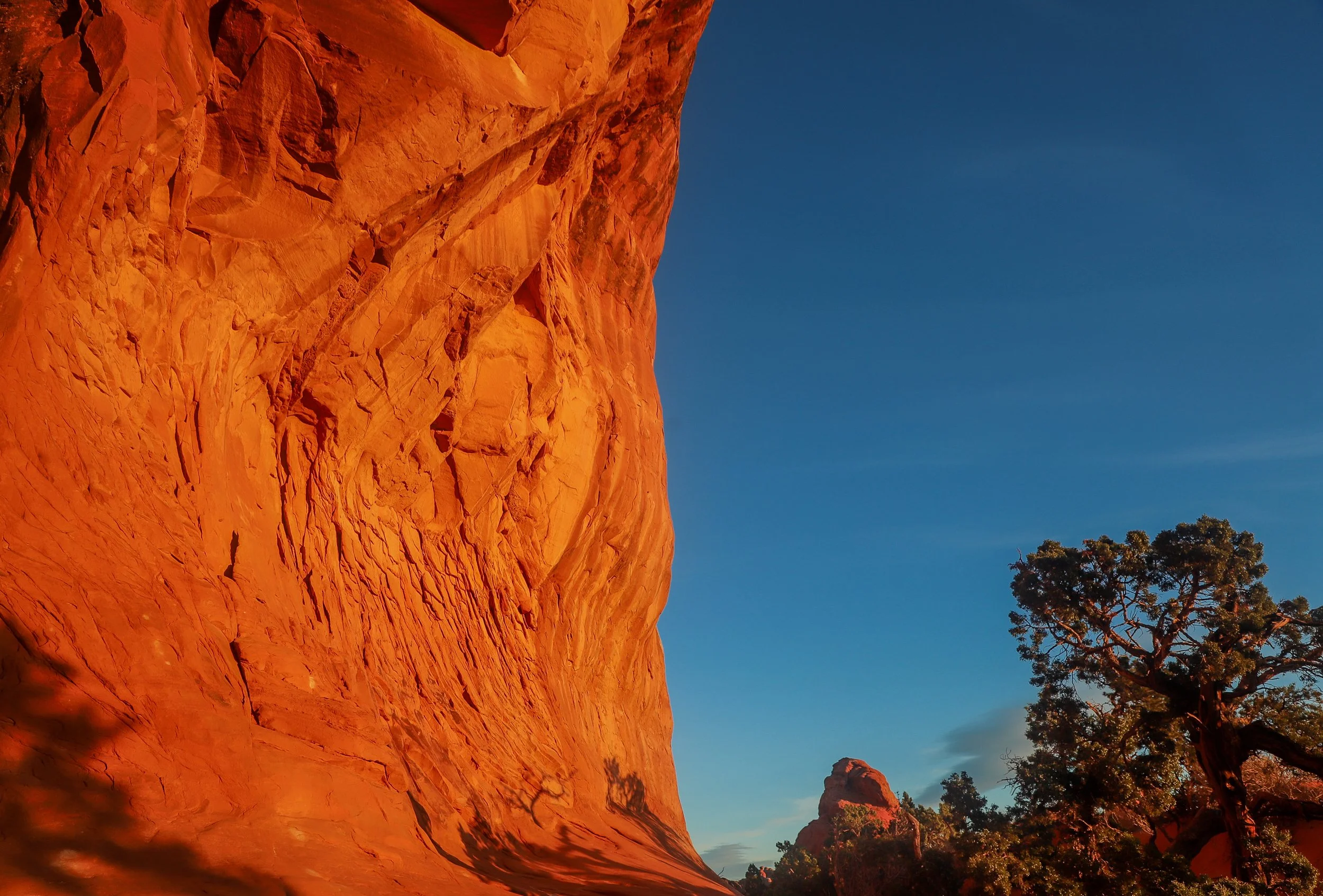 Red rock formations with a clear blue sky and trees at the base.