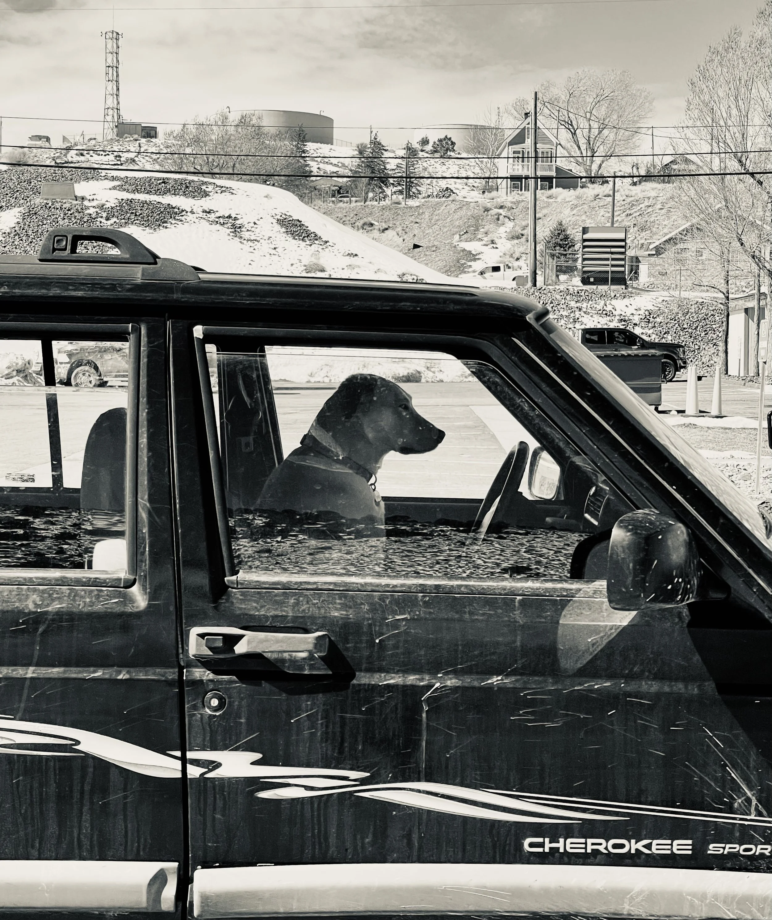 A black and white photo of a dog sitting in the driver's seat of a black Jeep Cherokee Sport, with a snowy landscape and houses in the background.