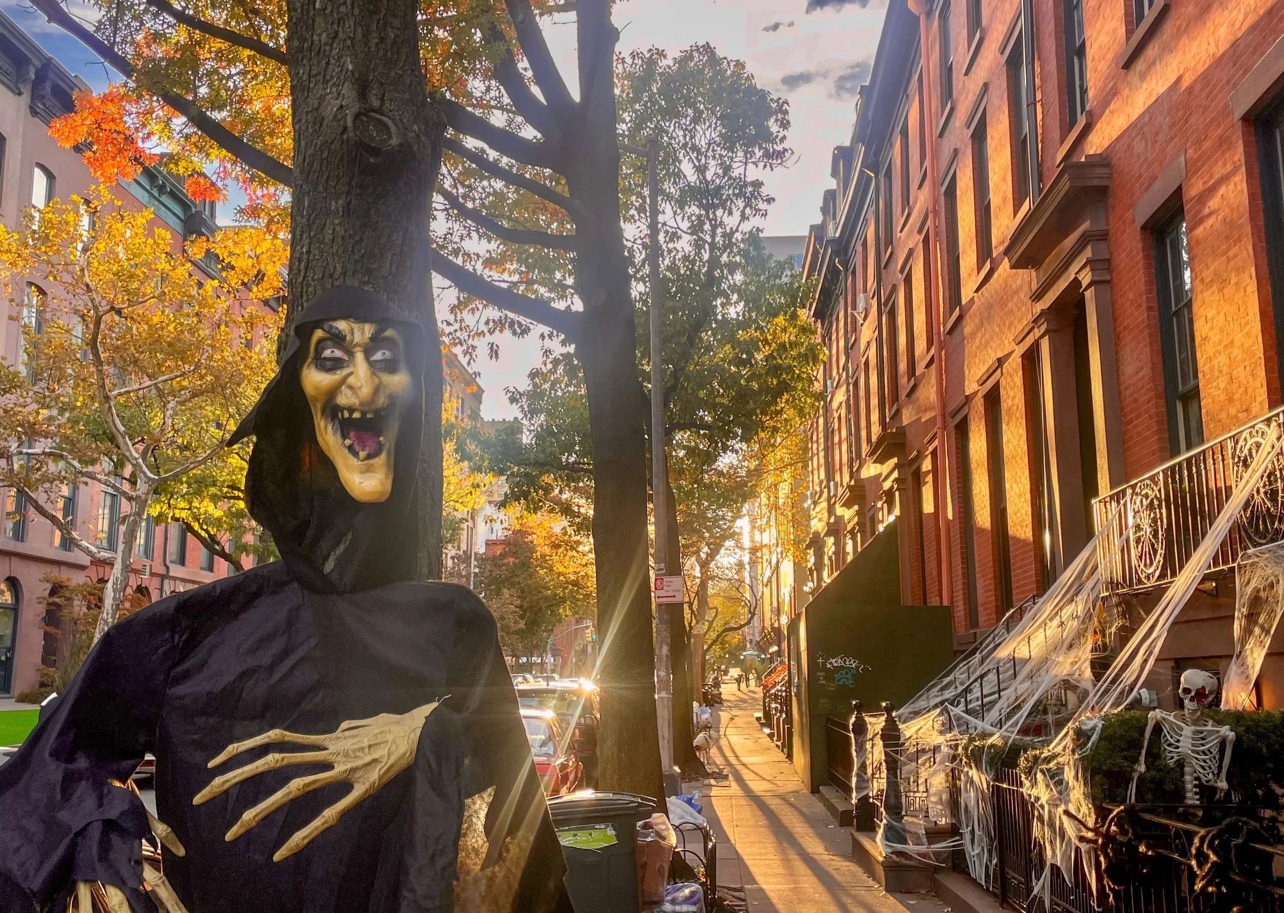 A Halloween decoration of a witch with a ghoulish face, long hands, and wearing a black hooded cloak, standing on a city sidewalk at sunset, with Halloween decorations including a skeleton and cobwebs on a fence to the right.