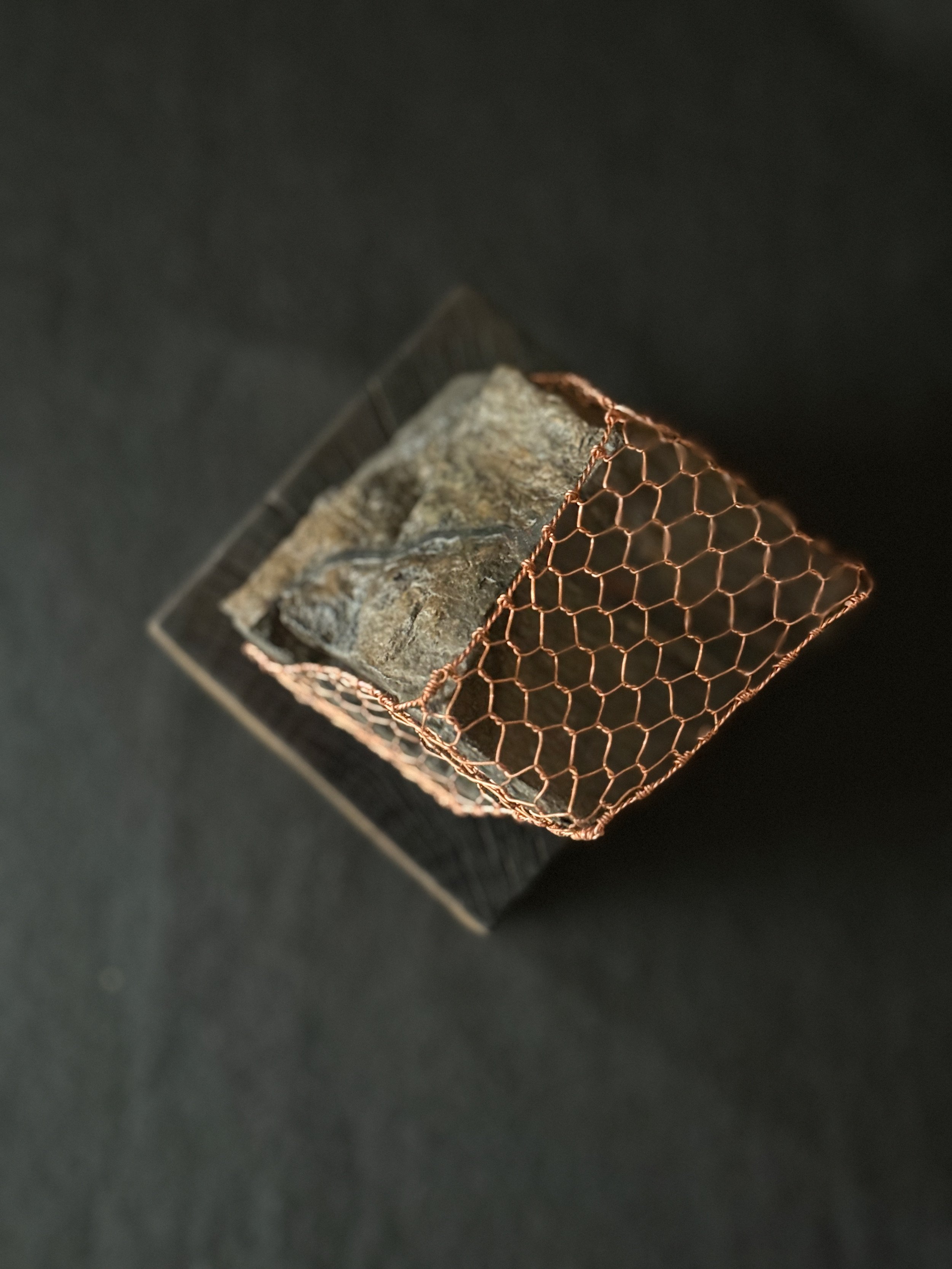 6203259B-9FBC-4E62-A6BE-8B06AF371BF1_1_201_a.jpeg