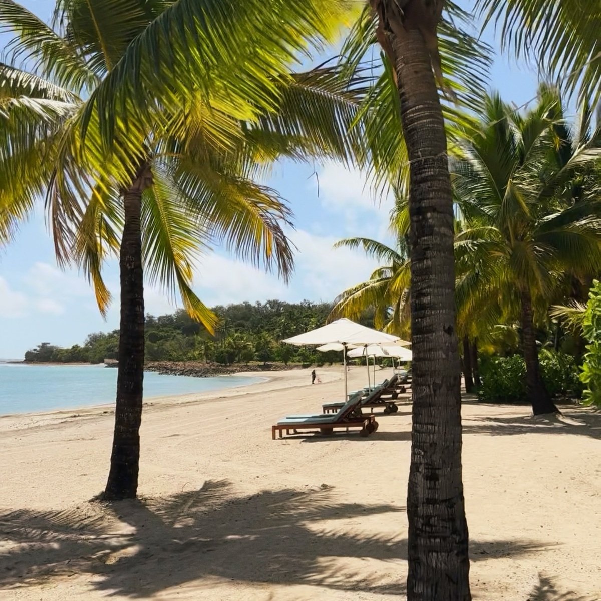 03-palm-lined-beach.jpg