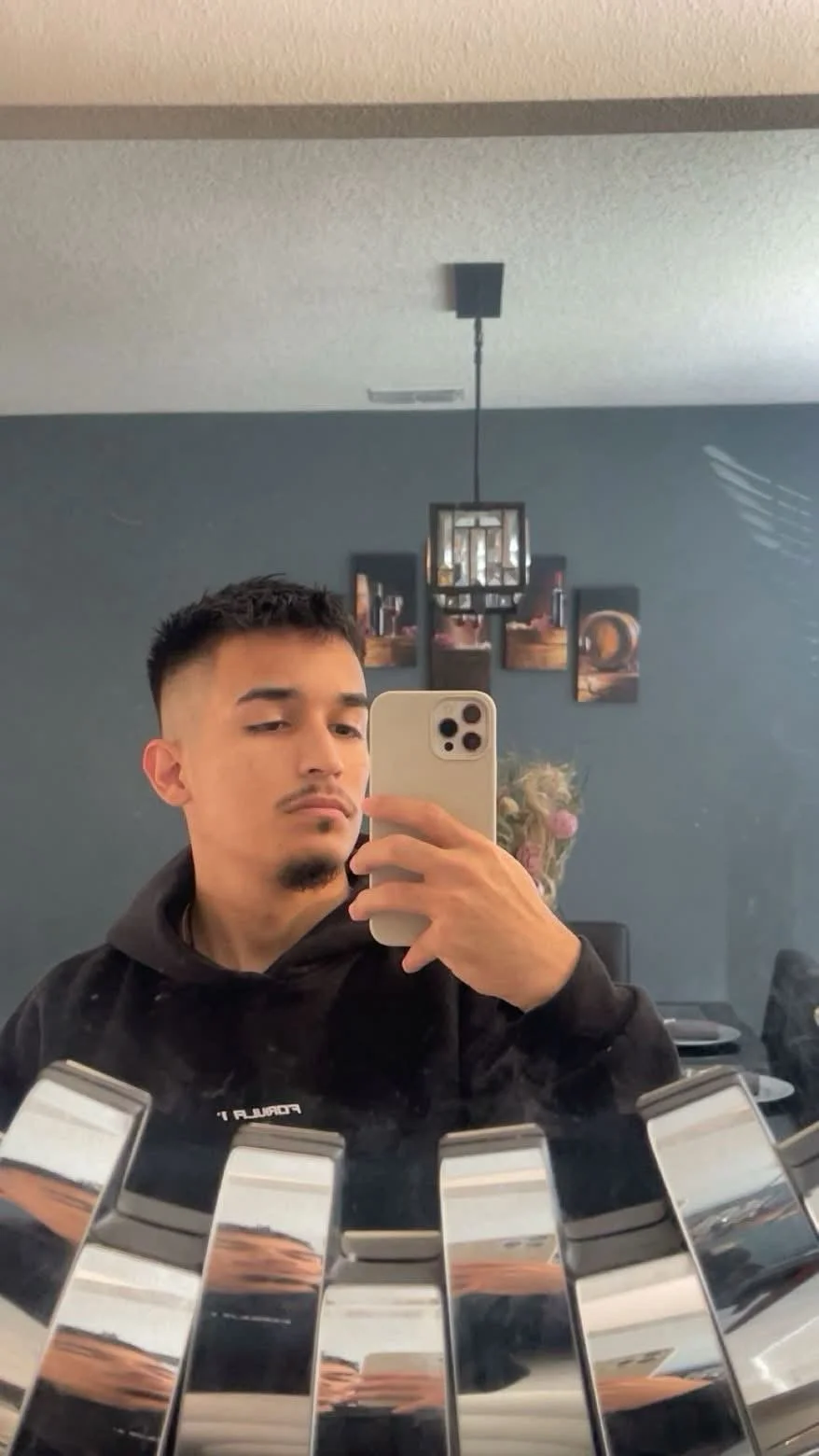 Young man taking a mirror selfie with an Apple iPhone, has short dark hair, facial hair, and is wearing a black hoodie. The mirror has a decorative frame with multiple reflective panels. In the background, there is a dark gray wall, a modern light fixture hanging from the ceiling, and wall art.