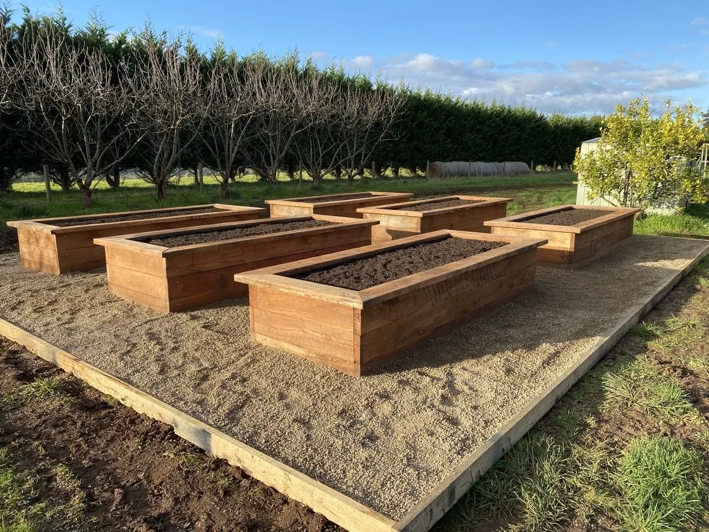 Six empty wooden garden beds filled with soil, on a raised wooden platform in a garden with trees and green grass.