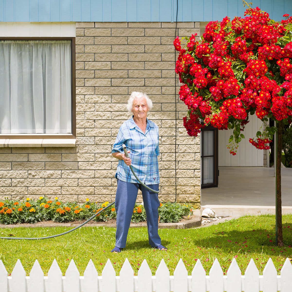 An elderly woman with white hair, wearing a blue checked shirt and blue pants, is watering flowers in her garden with a garden hose. She is standing on a grassy lawn with a white picket fence in the foreground. The garden has orange and yellow flower