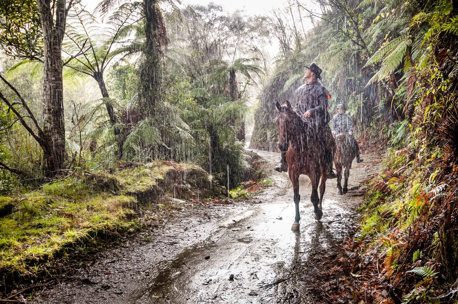 People riding horses on a wet forest trail during a rainstorm, surrounded by lush green trees and ferns.