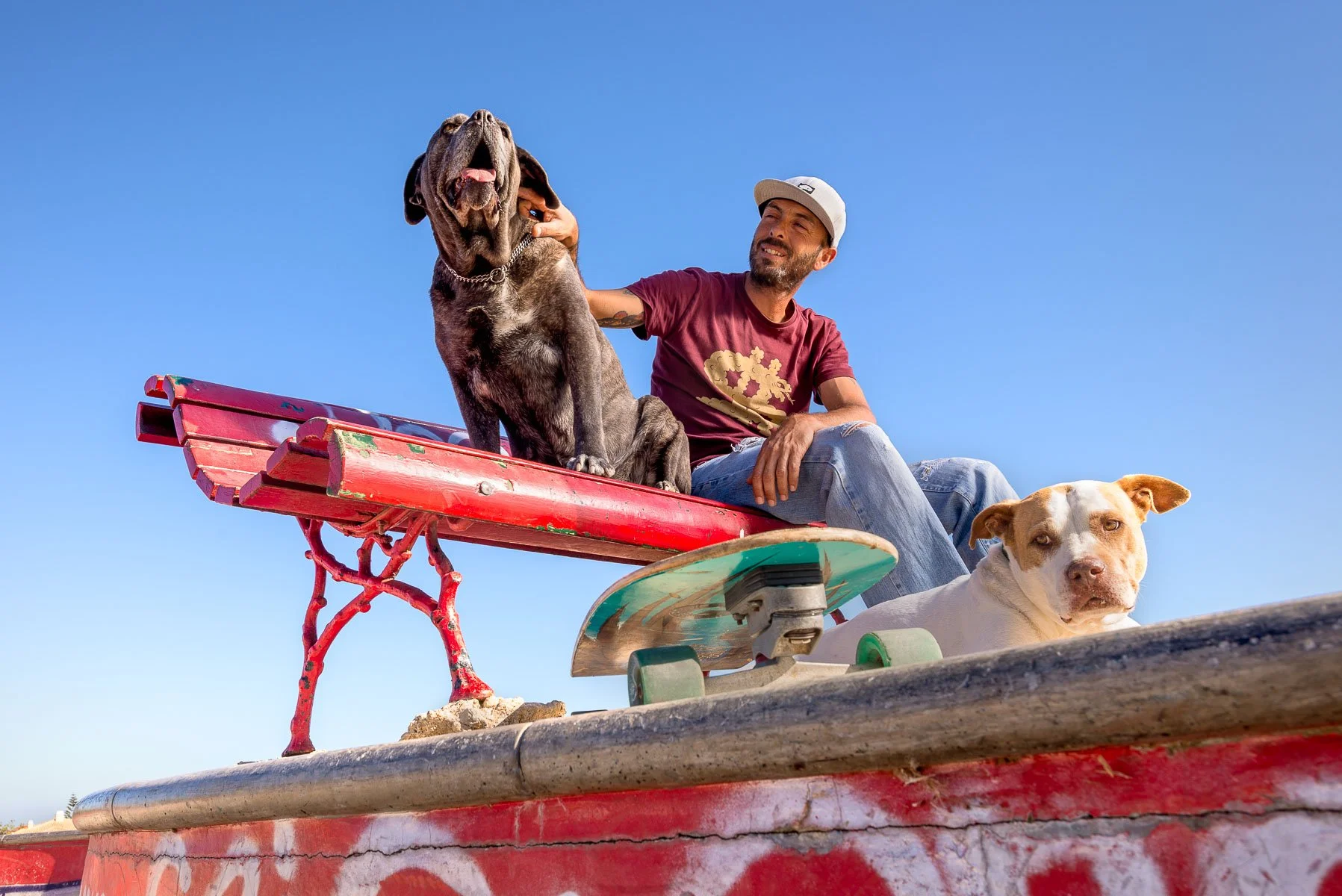 A man with a beard and cap sitting on a red skatepark bench with two dogs, a large brindle French Bulldog and a smaller tan and white dog, outdoors under a clear blue sky.