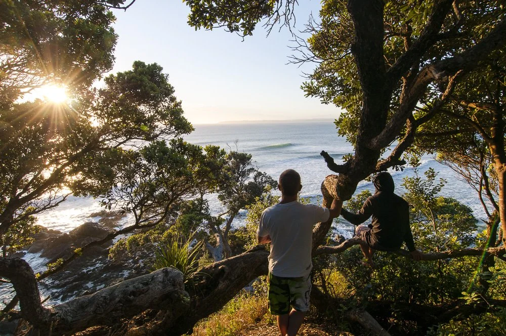 Two people sitting on a tree branch overlooking the ocean during sunset, surrounded by lush greenery.
