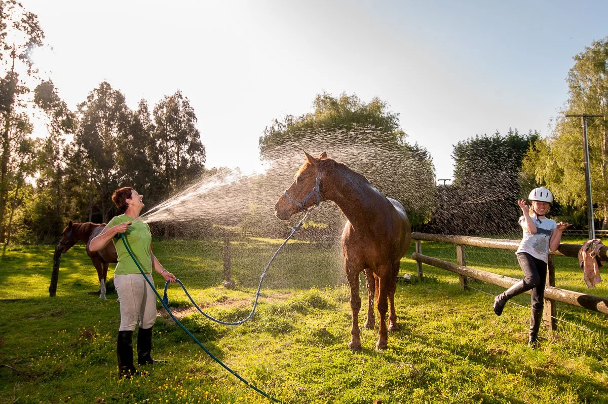 Two women playing with horses in a sunny pasture, one woman spraying water on a horse and the other woman wearing a helmet and celebrating.