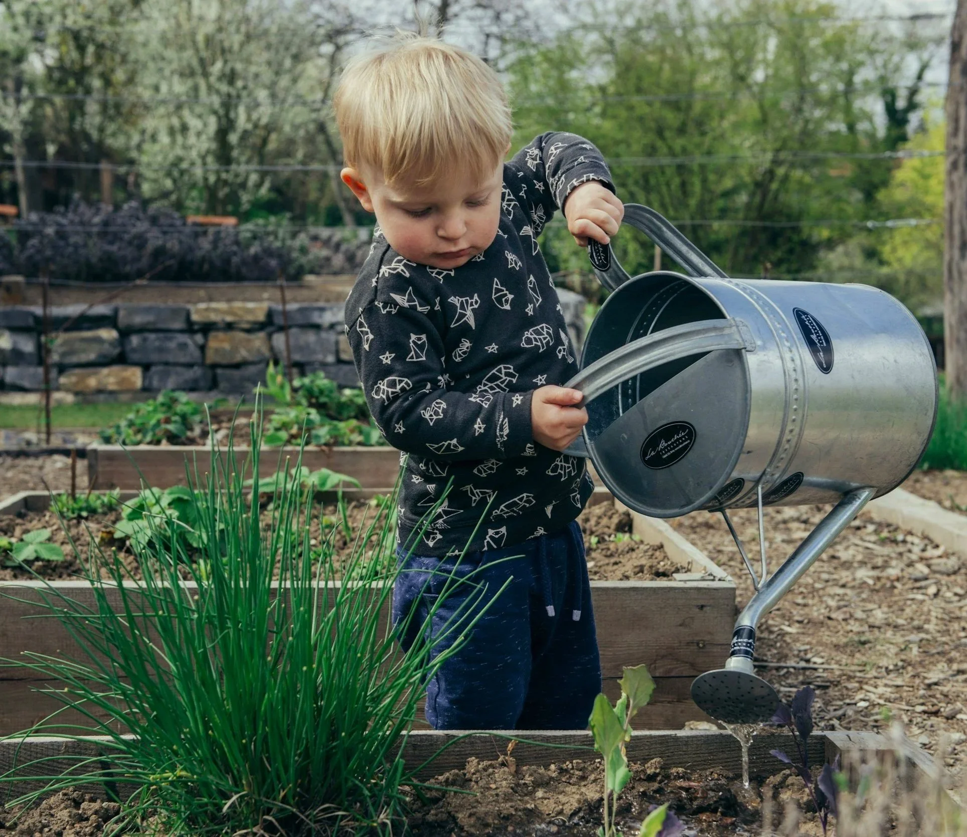 A young boy with blonde hair wearing a black long-sleeve shirt with white patterns and blue jeans, watering plants with a metal watering can in a garden with raised beds and a stone wall in the background.