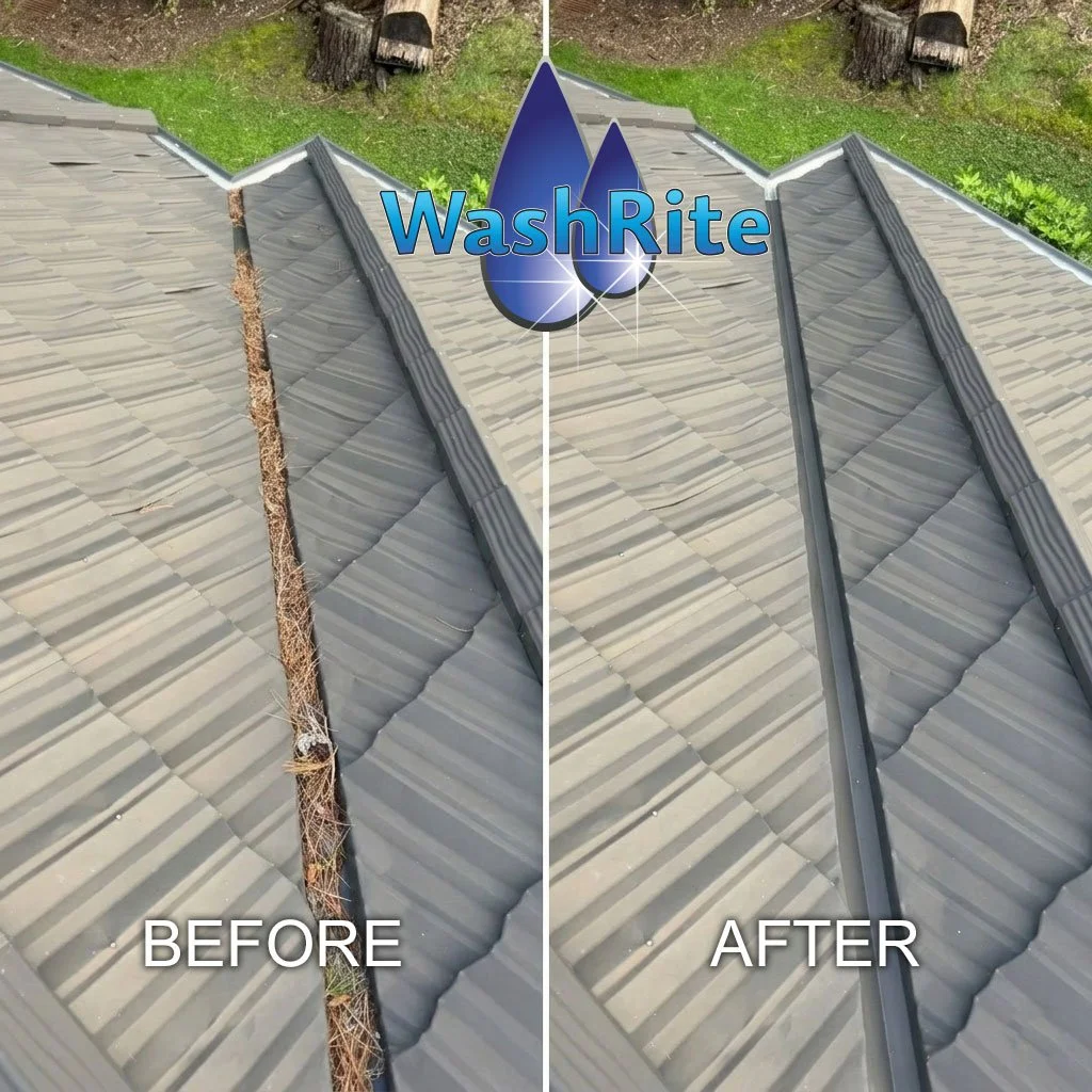Gutter-Cleaning1.jpg