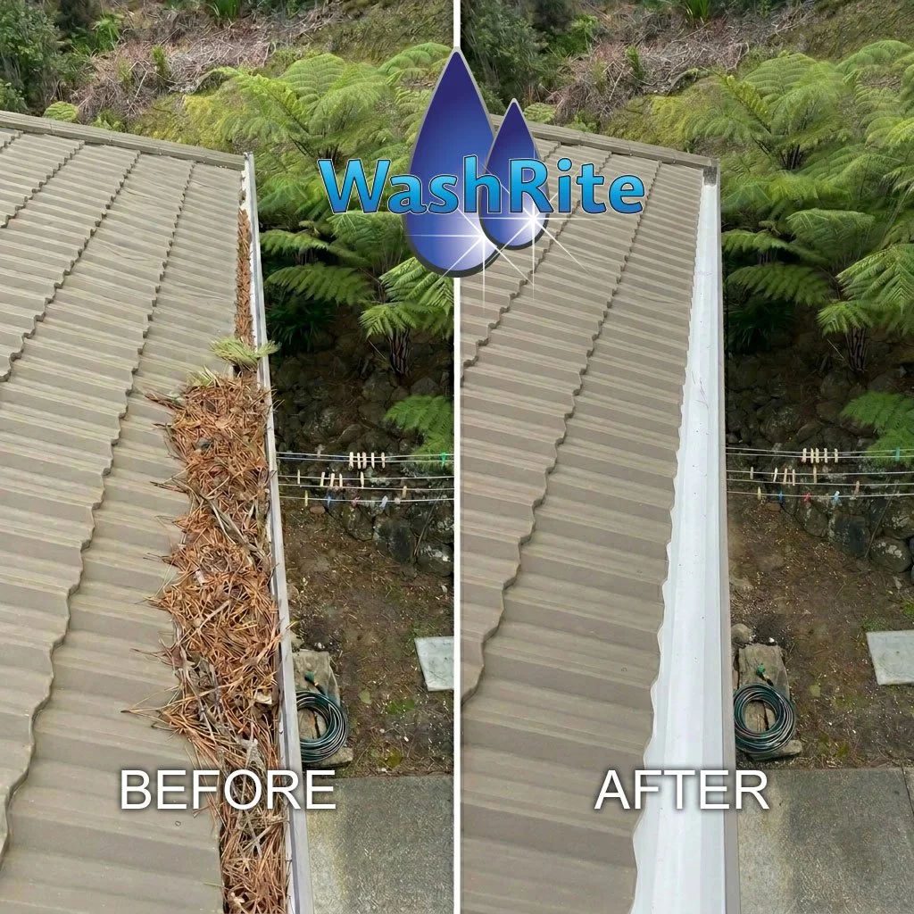 Gutter-Cleaning2.jpg