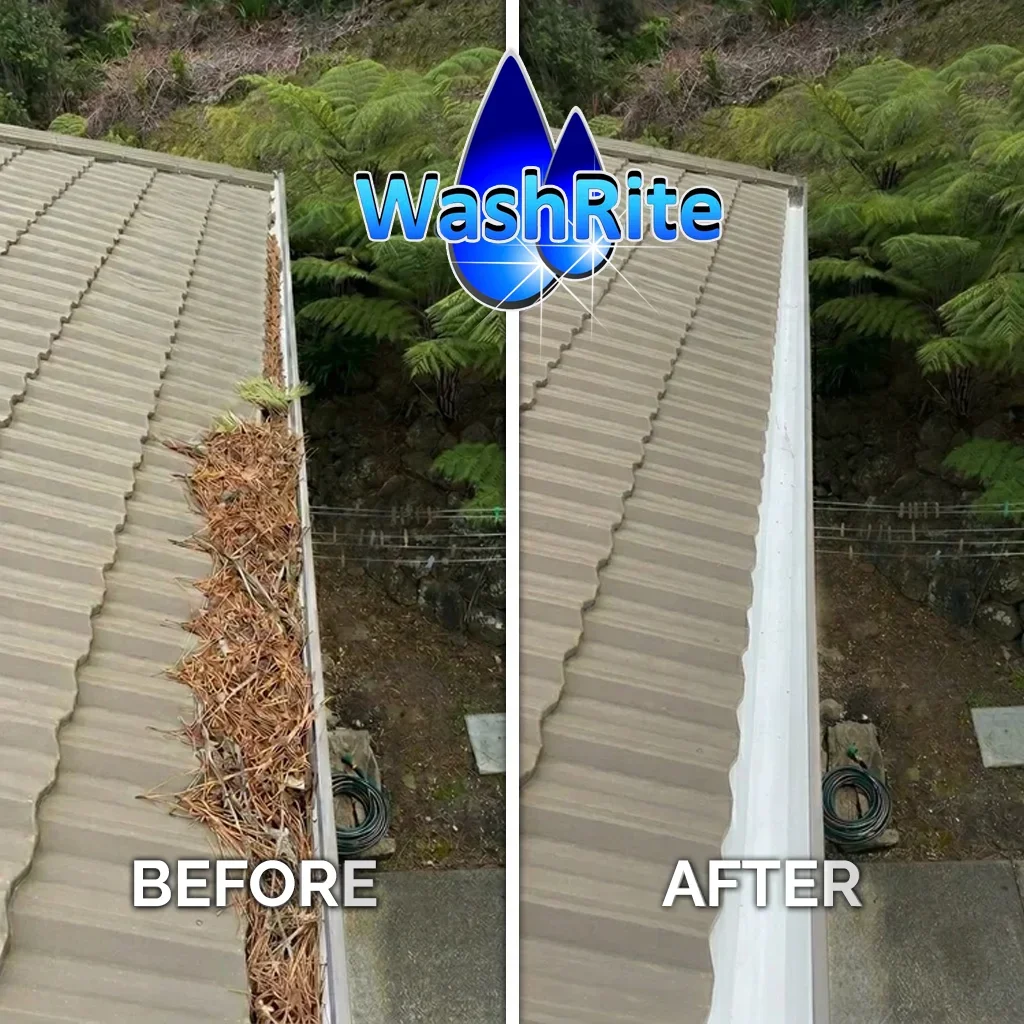 Gutter-Cleaning - BEFORE+AFTER-2 copy.webp