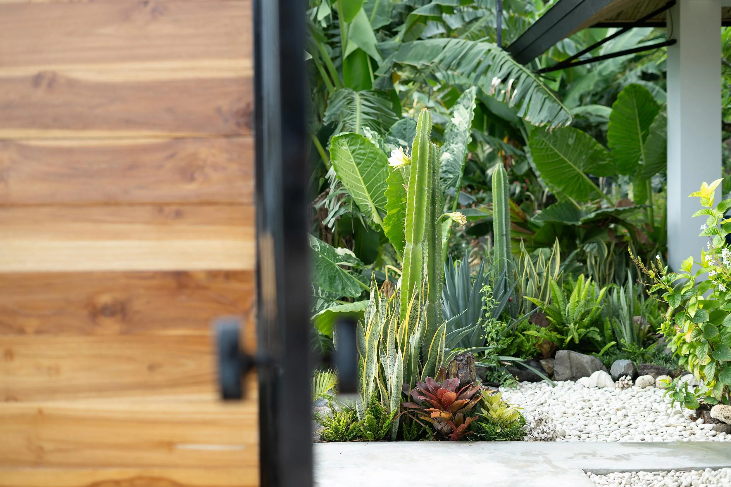 Pinnacle-Villa-Lombok-B-Entry-Garden-1.jpg