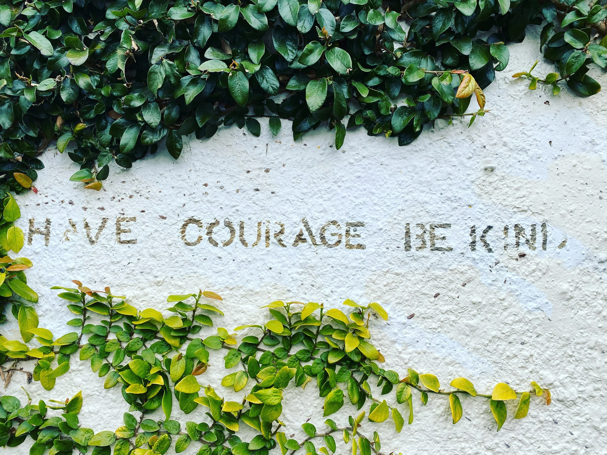 Green and yellow creeping ivy growing on a white textured wall with part of an inscription that reads 'HAVE COURAGE' visible at the bottom.
