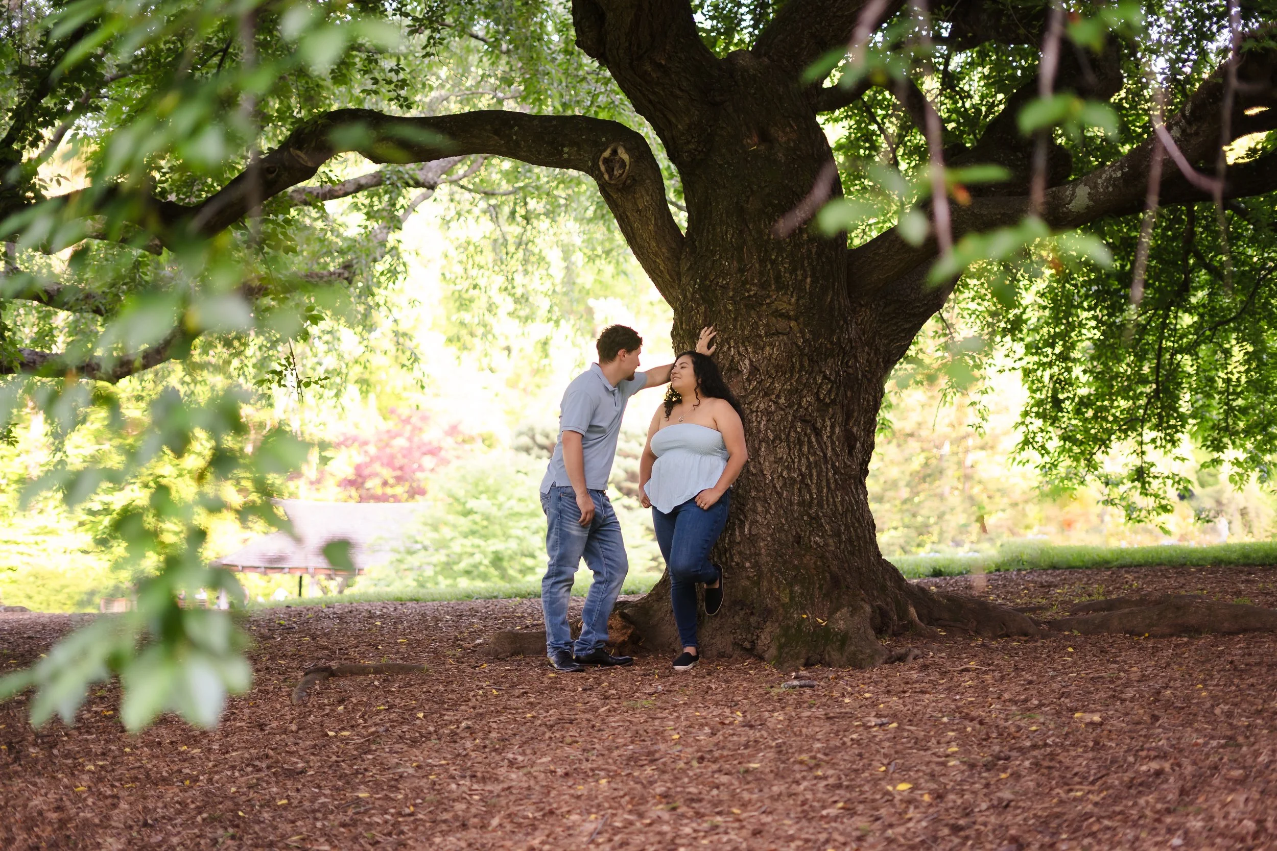 Brookside-Gardens-Silver-Spring-Maryland-Engagement-Photos256.jpg