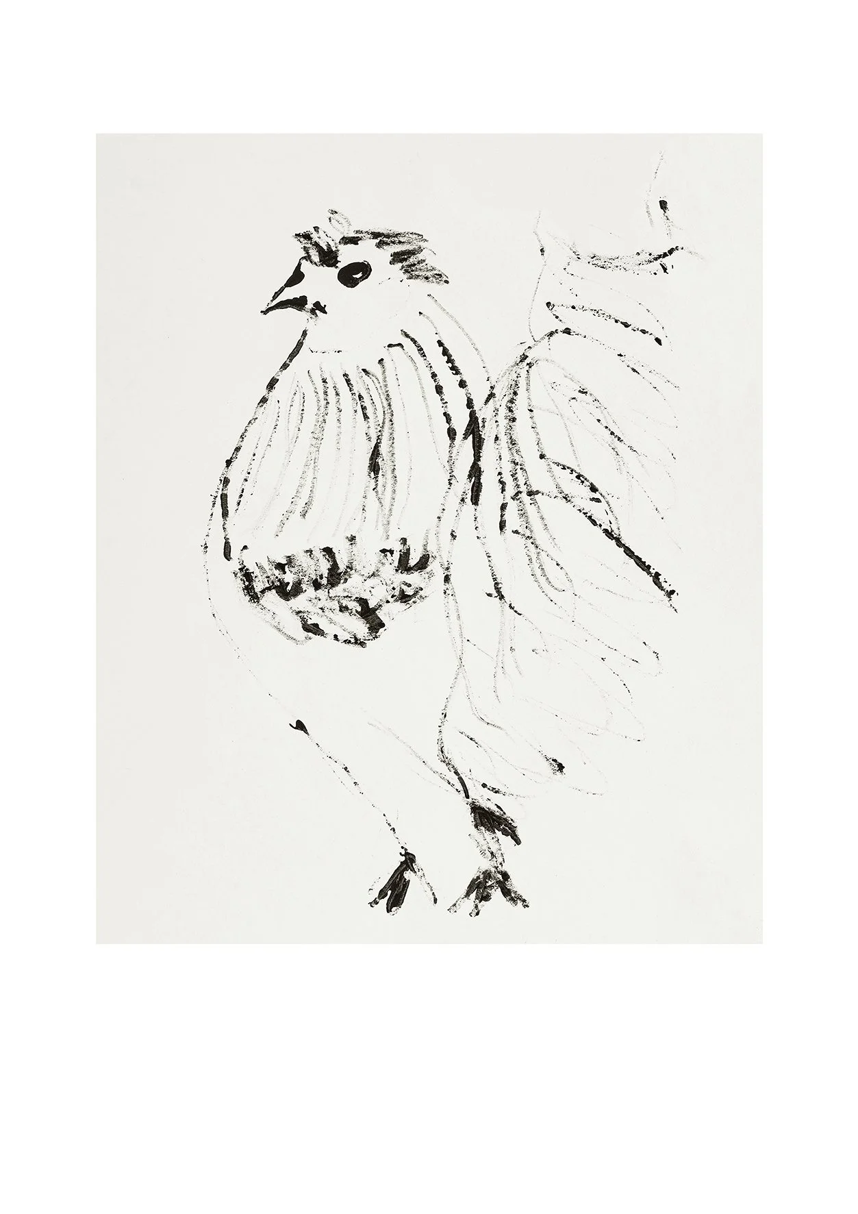 Rooster
