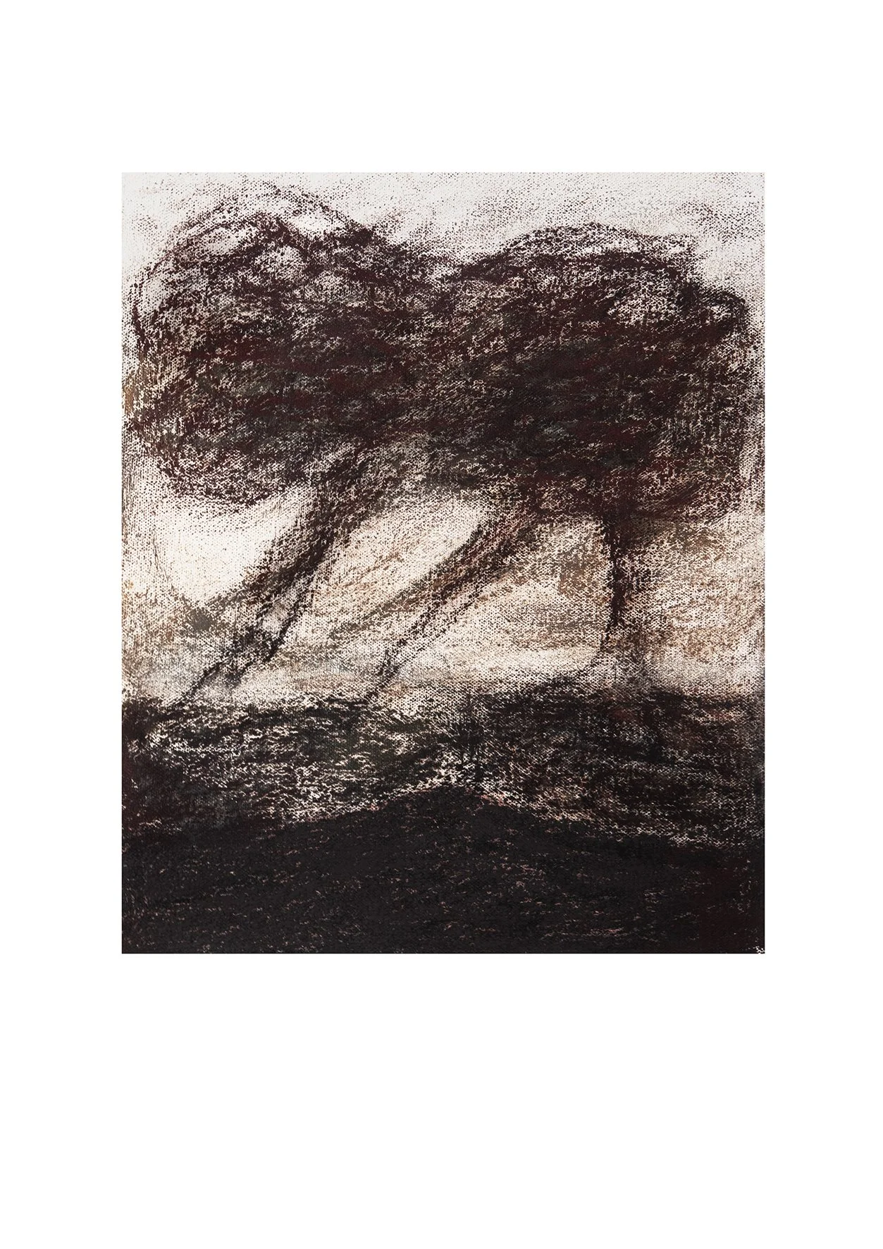 Trees Gathering