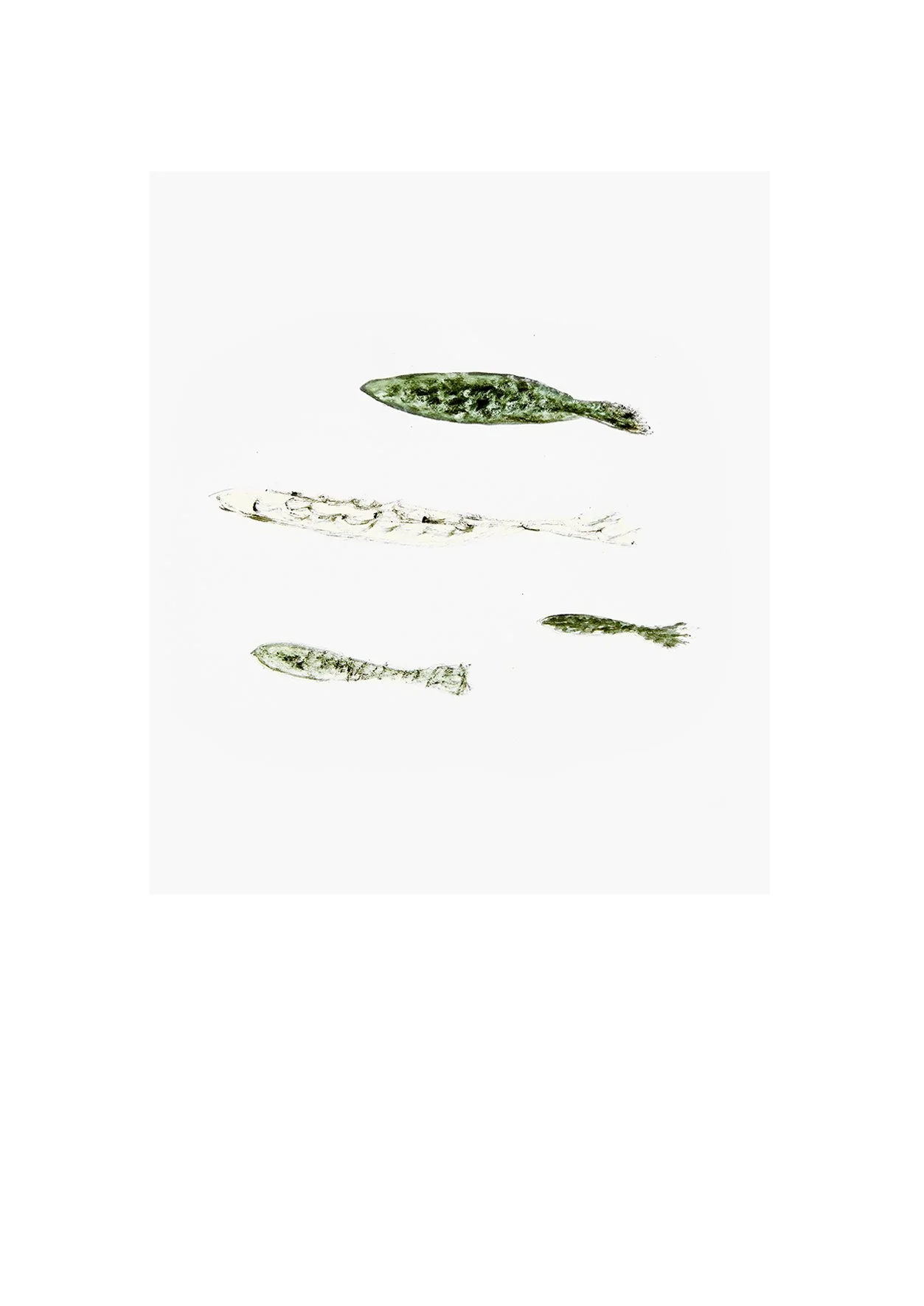 Between The Fish And Its Water