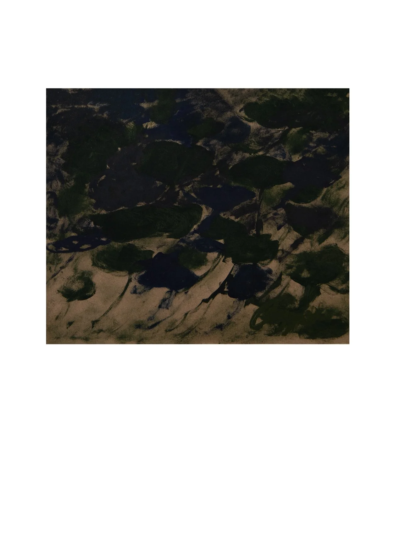 The Bright Track Of Moonlight