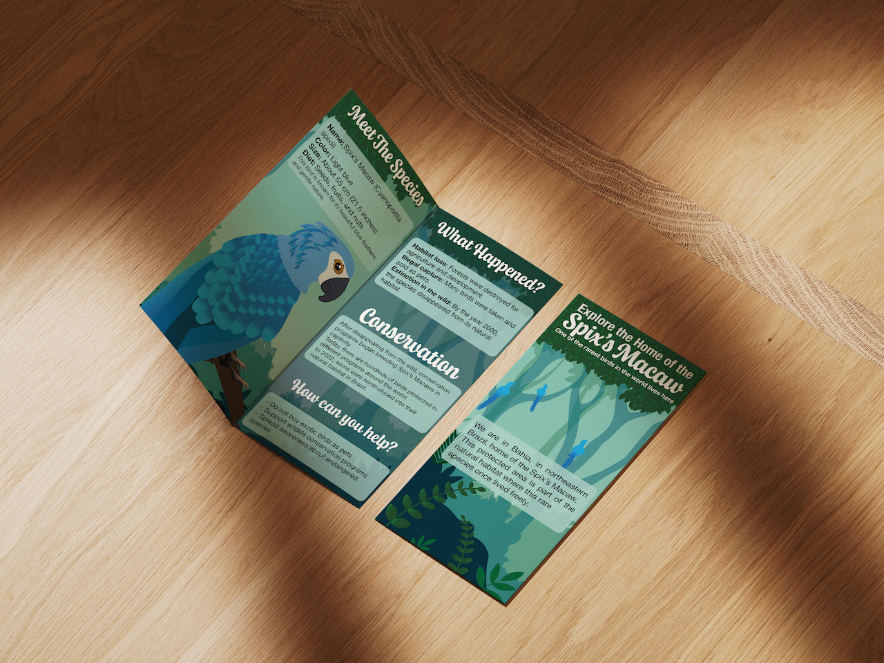 Brochure for Spix's Macaw excursion