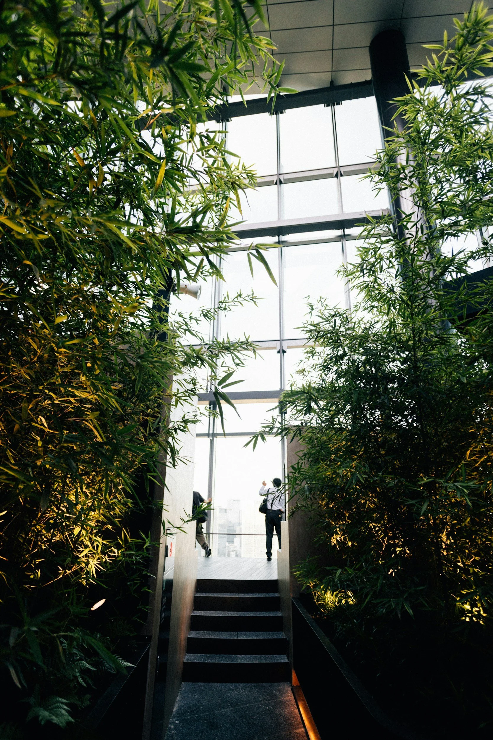 People walking on a balcony with large windows and leafy plants surrounding a staircase.