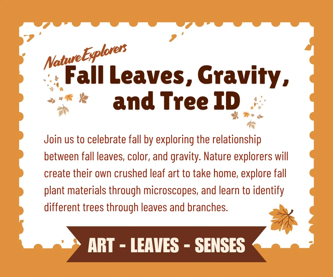 TTF - Nature Explorers - Fall Leaves, Gravity, and Tree ID