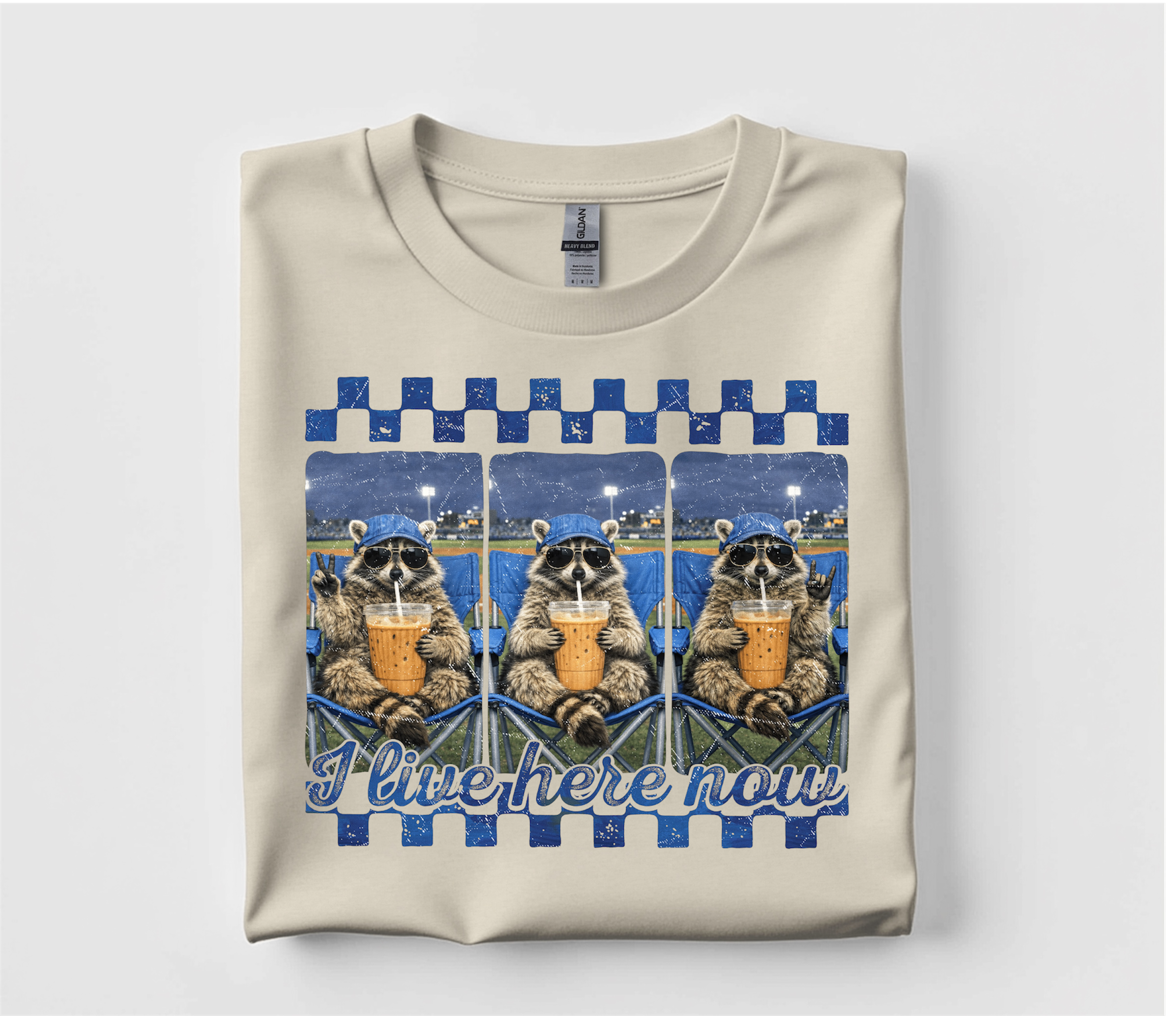 Baseball raccoon