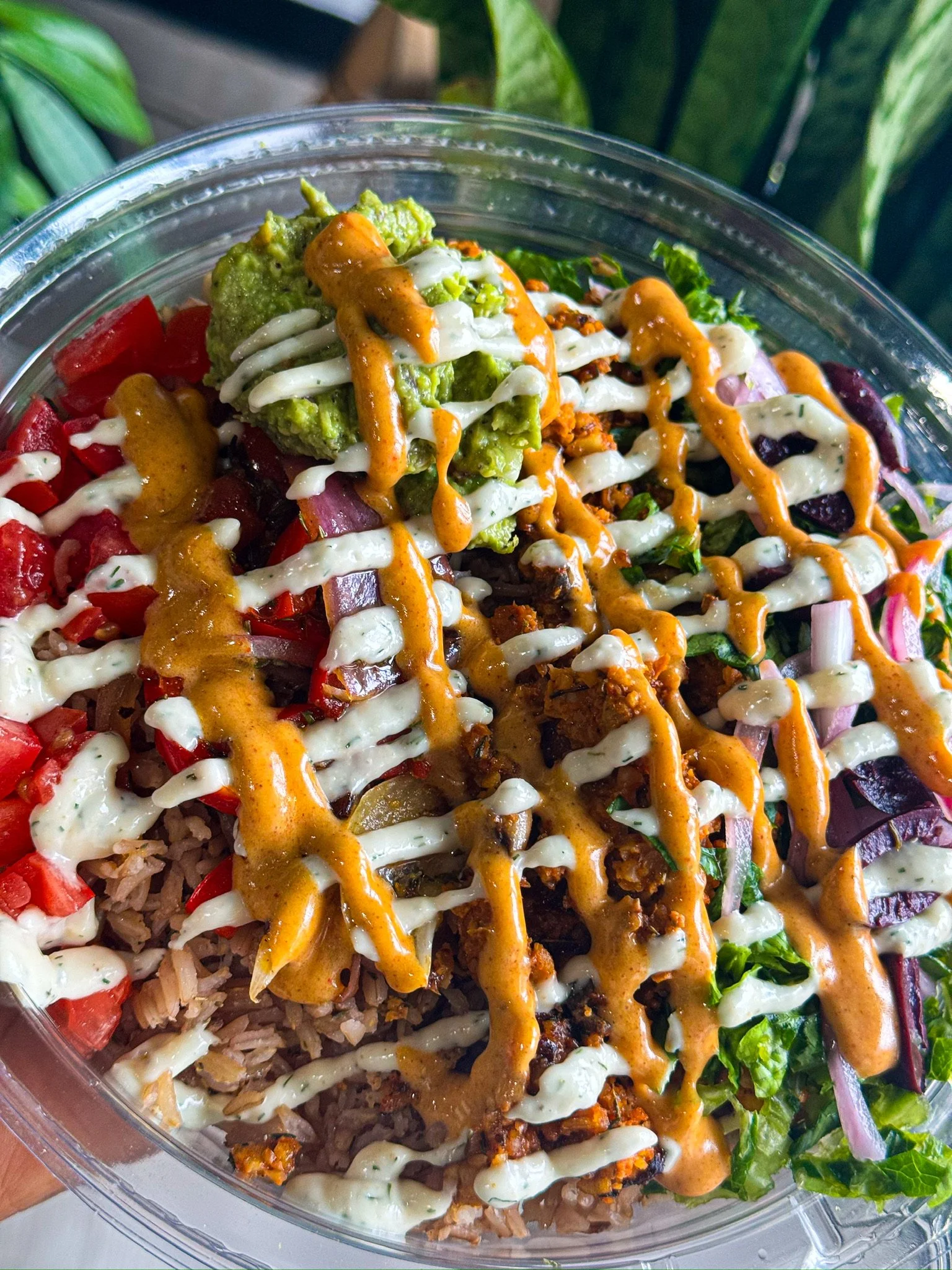 C5F60FF1-98C7-416D-A84E-A7D08DB02189 2.JPG