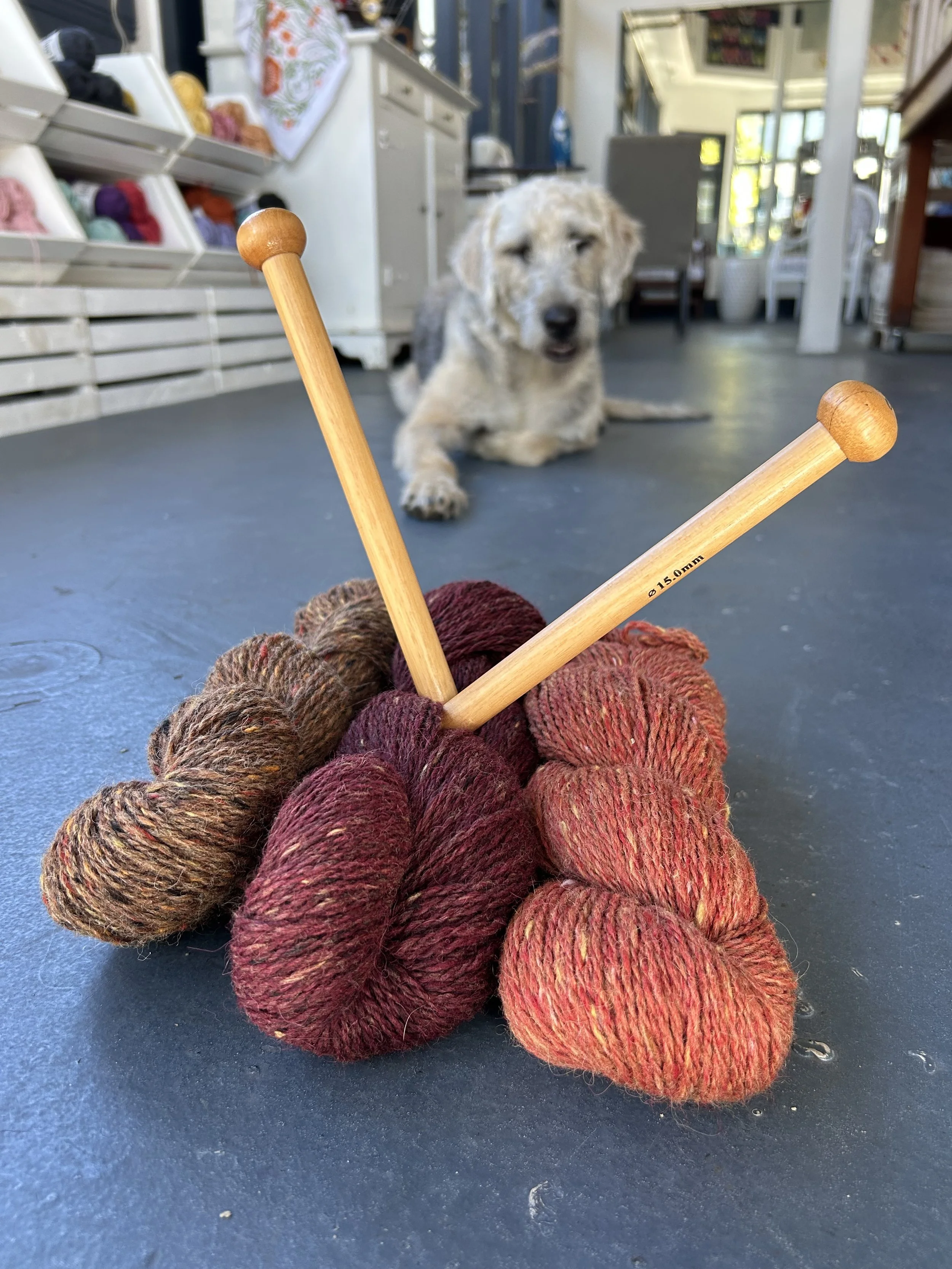Beginning Knitting
